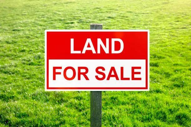 The Real Cost of Buying Land in Kenya: Legal Fees, Hidden Charges & Delays