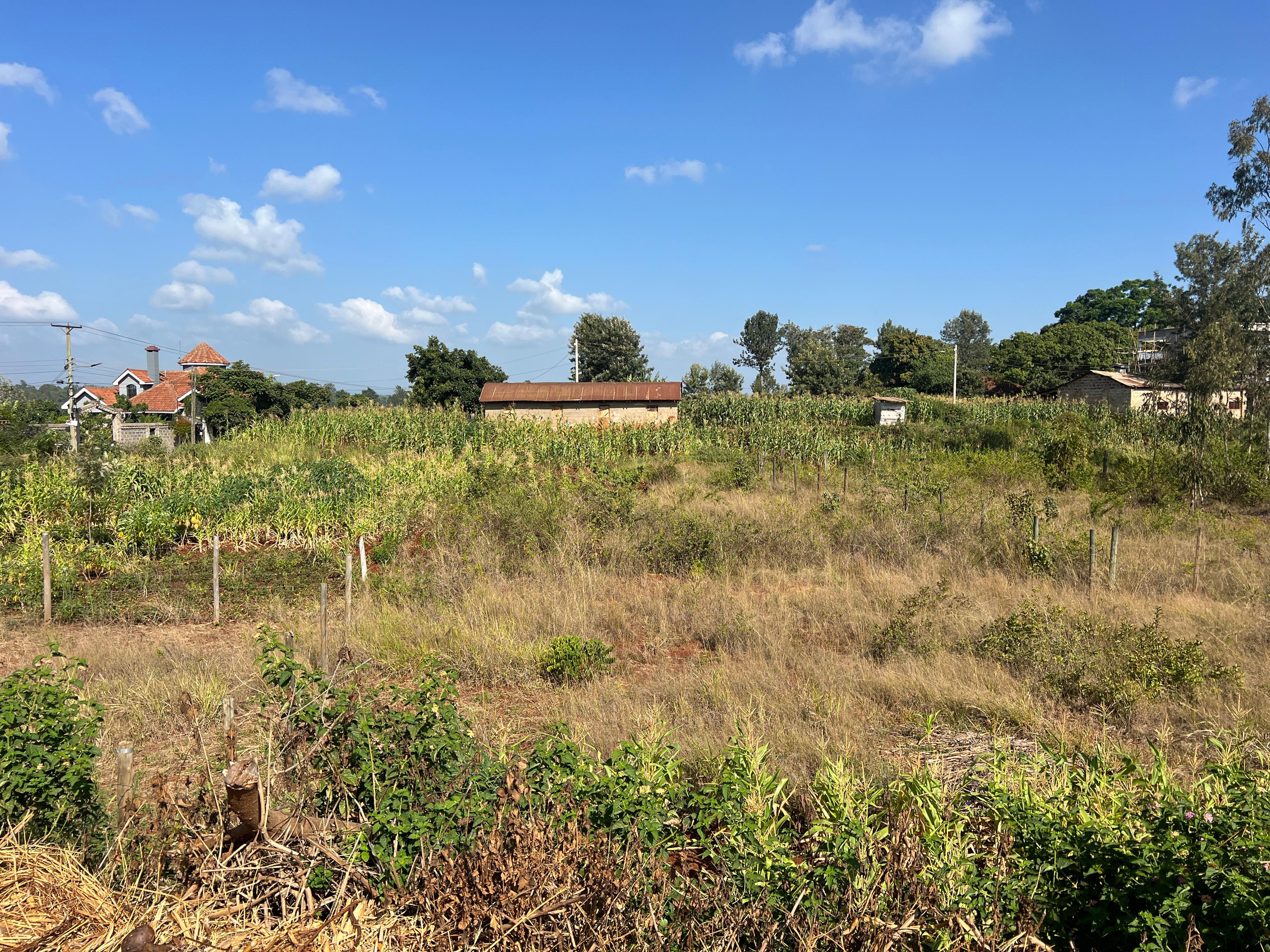 1/8 Plots on sale in Kenyatta Road - Image 1