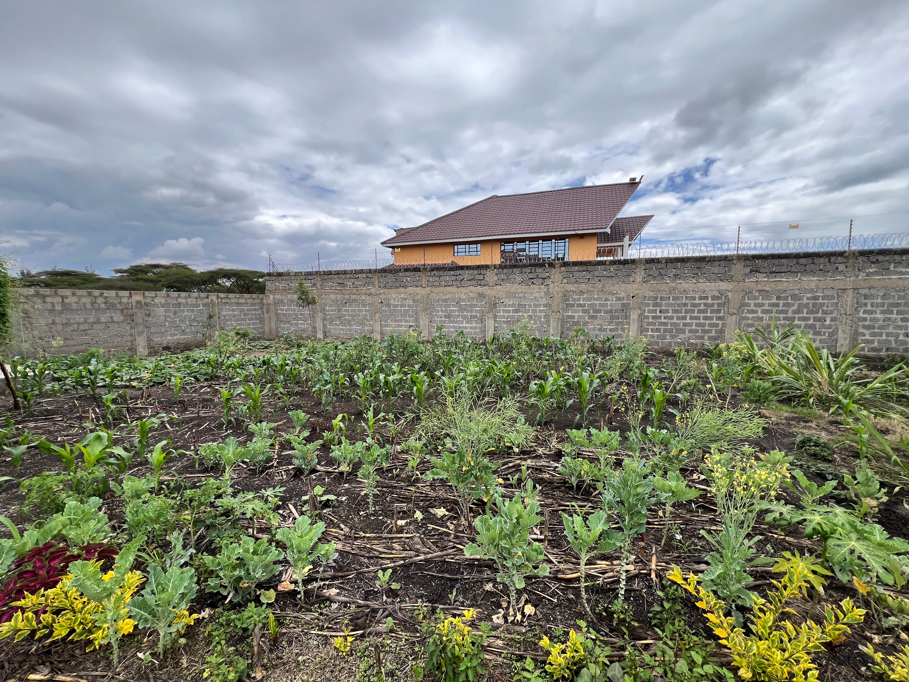 3BR mansion on Sale in Rongai  - Image 18