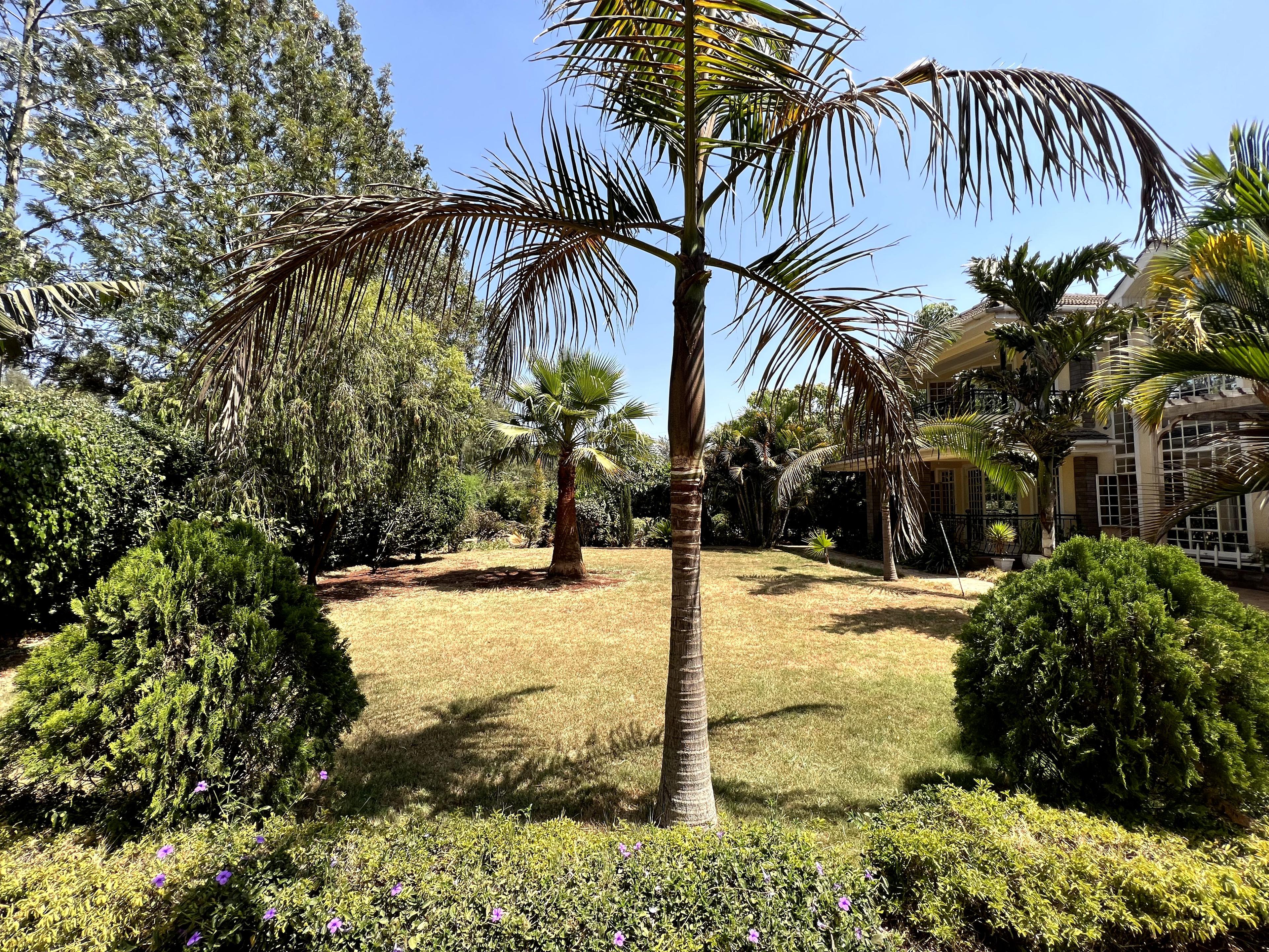 5 BR MANSION ON SALE IN KAREN - Image 31