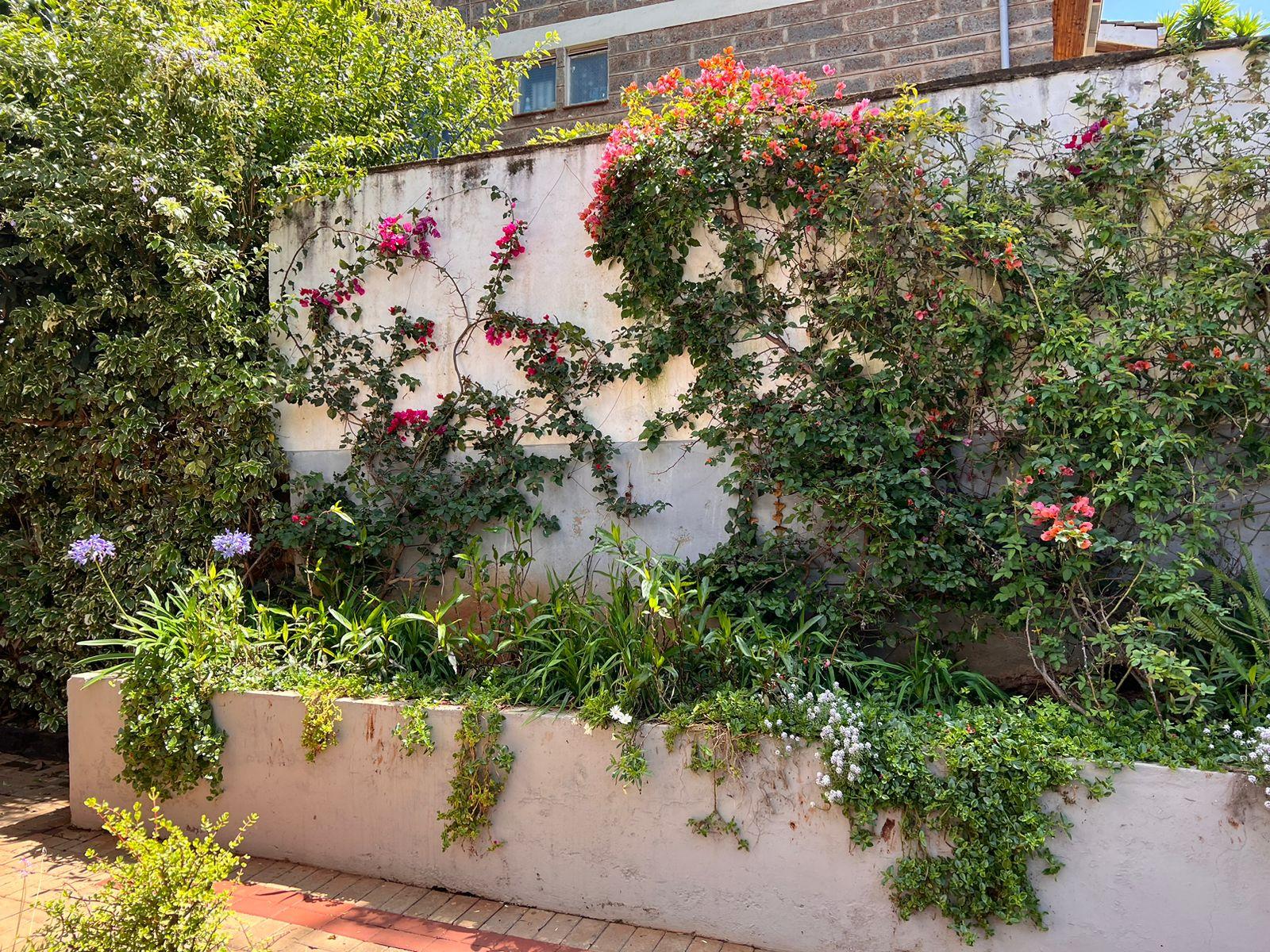 5BR +DSQ to Let in  Mountain View - Image 13