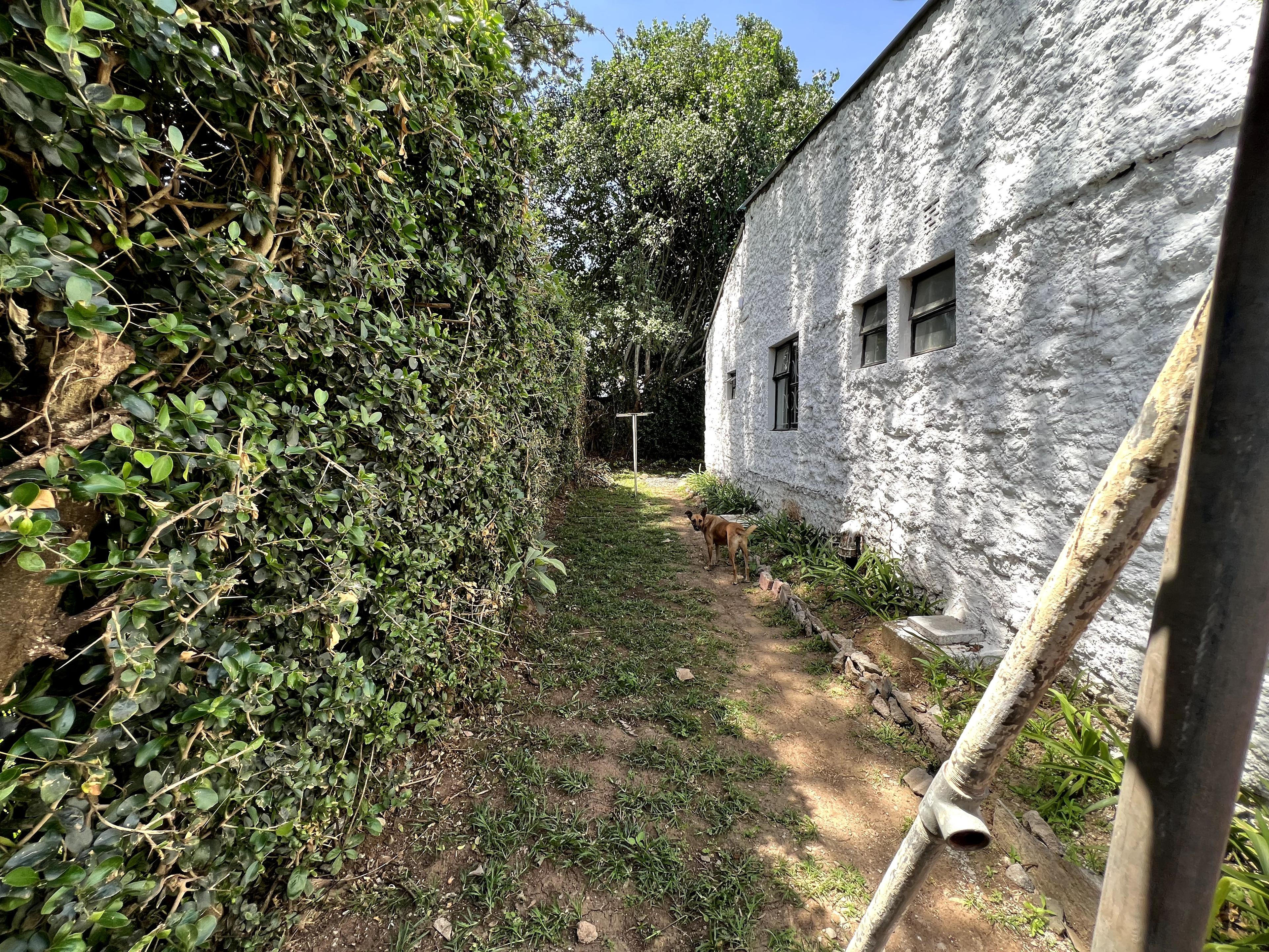 3-Bedroom House for Rent – Karen Bomas - Image 3