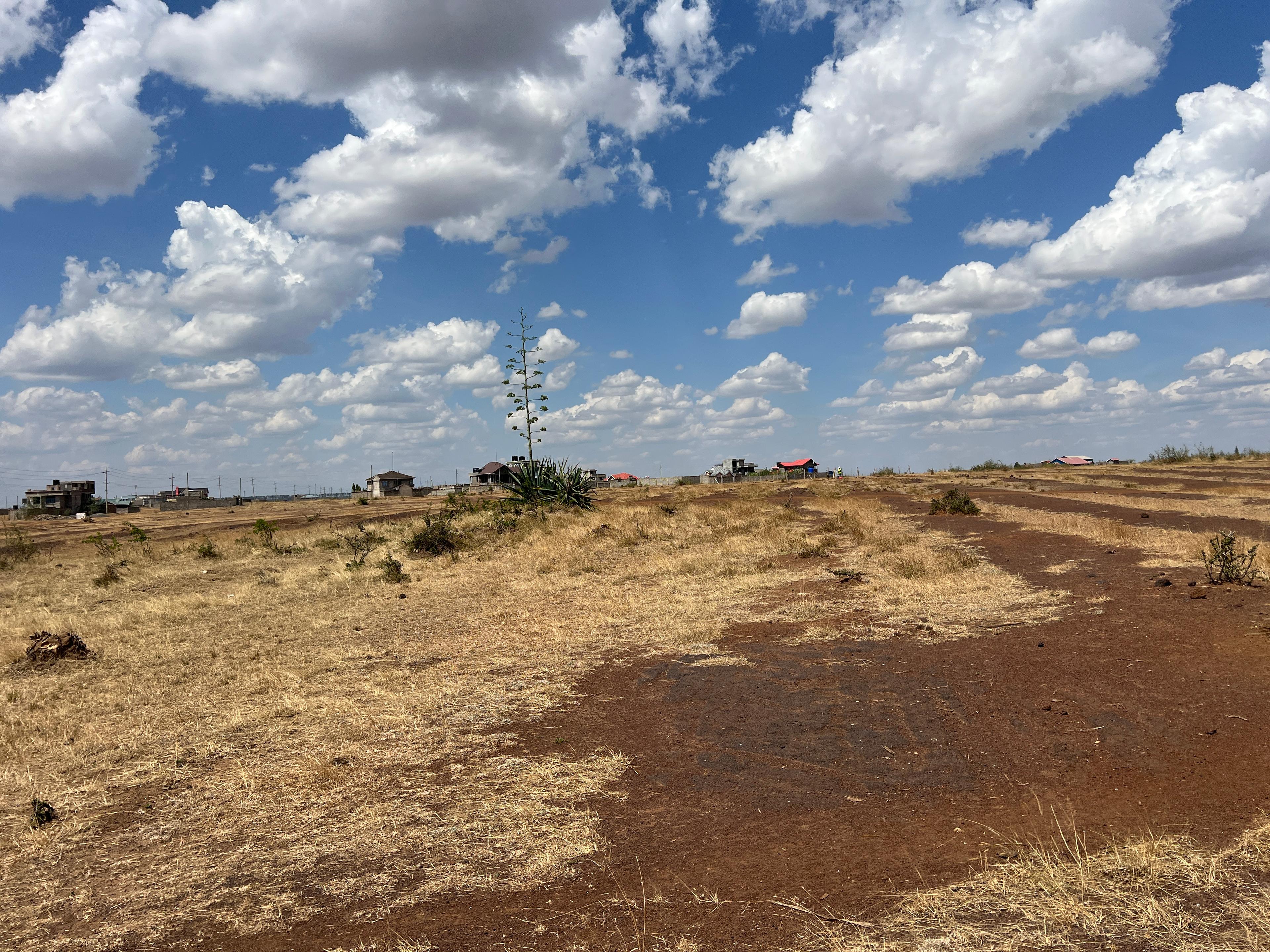 FOR SALE: PRIME RESIDENTIAL PLOTS - Image 14