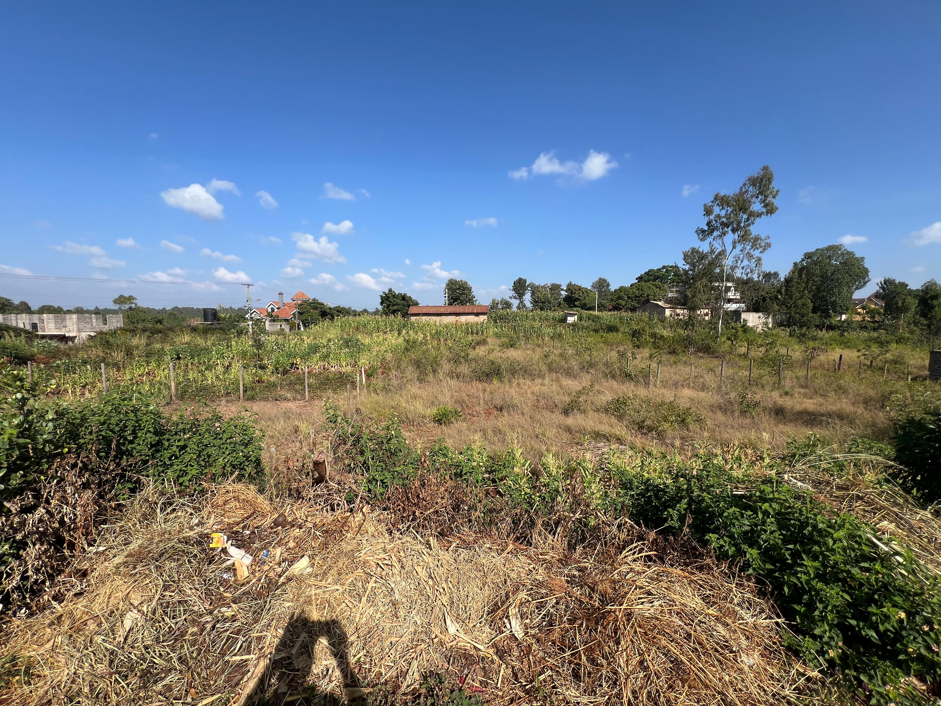 1/8 Plots on sale in Kenyatta Road - Image 4