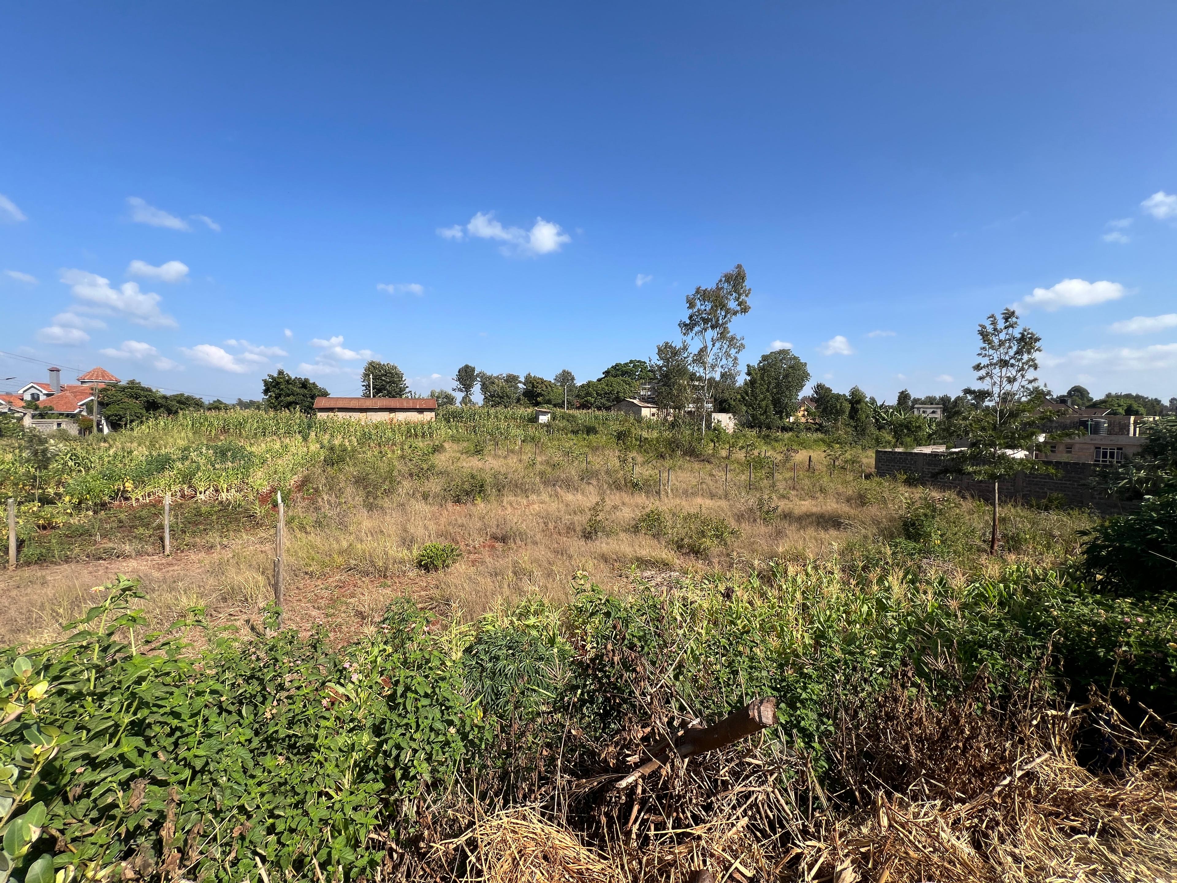 1/8 Plots on sale in Kenyatta Road - Image 7