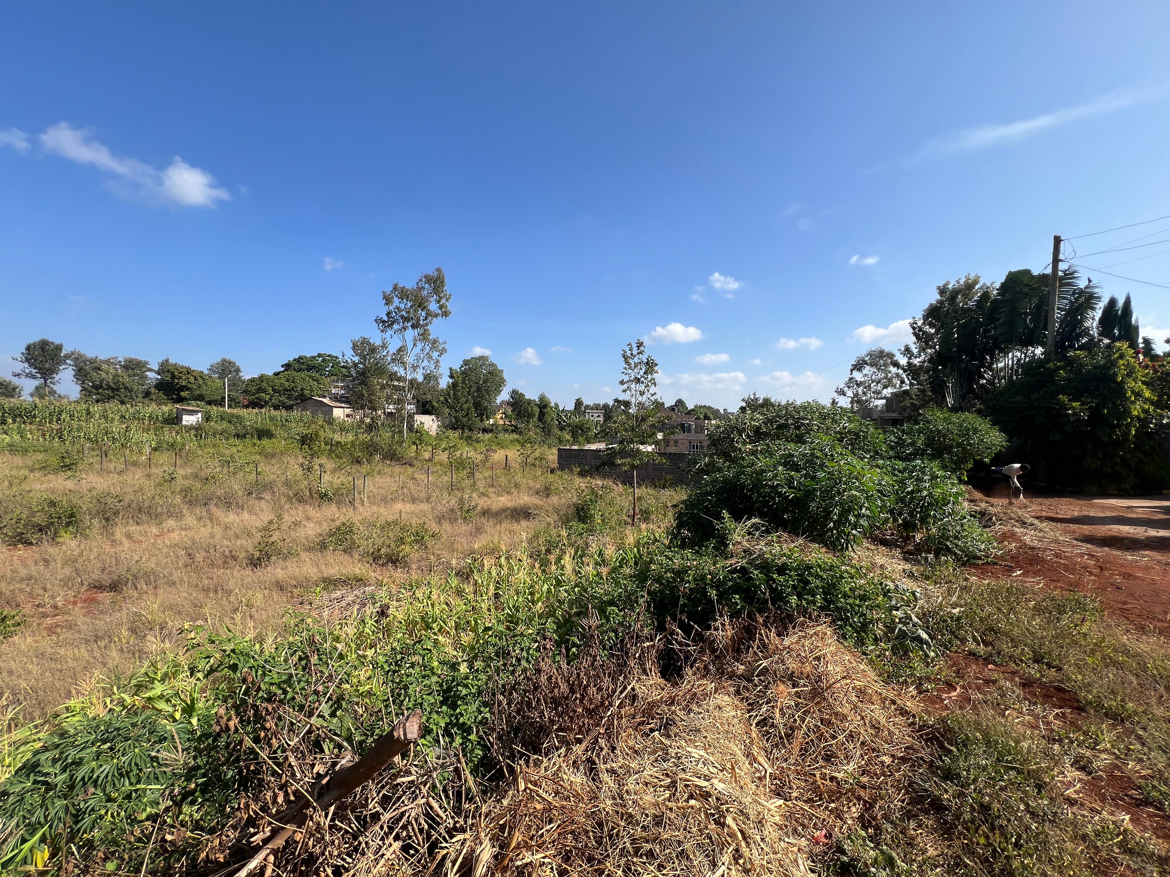 1/8 Plots on sale in Kenyatta Road - Image 5