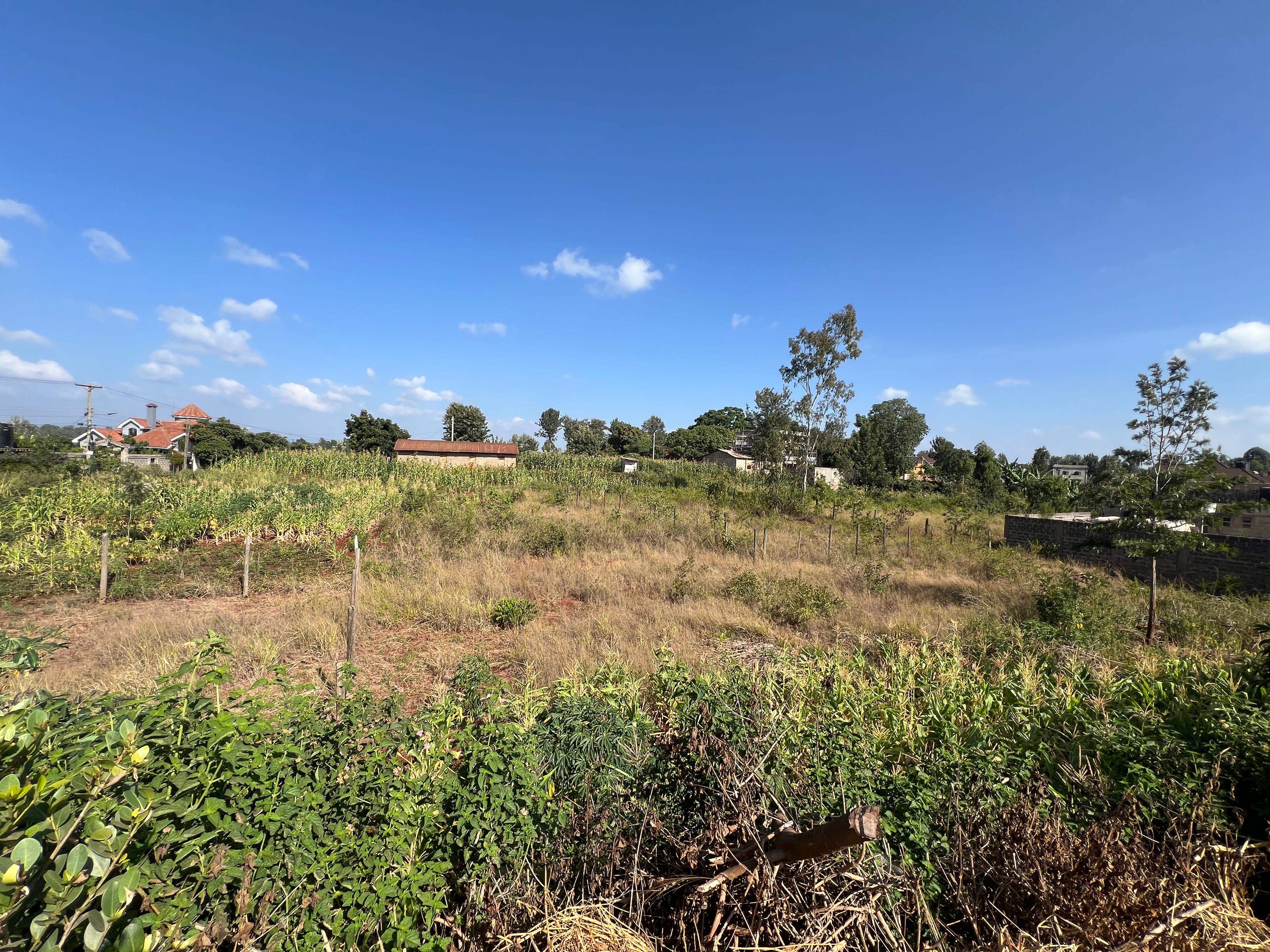 1/8 Plots on sale in Kenyatta Road - Image 3