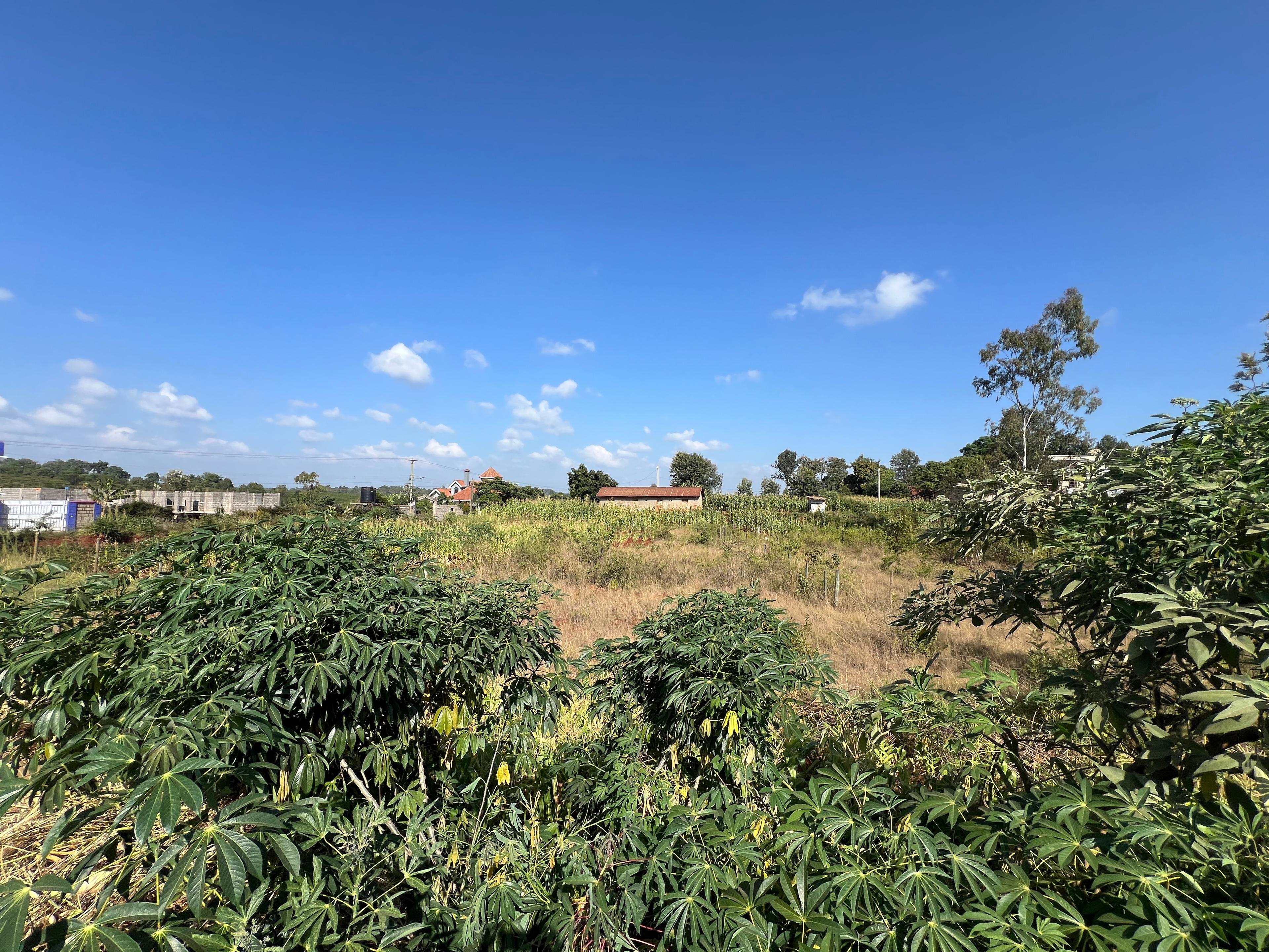 1/8 Plots on sale in Kenyatta Road - Image 2
