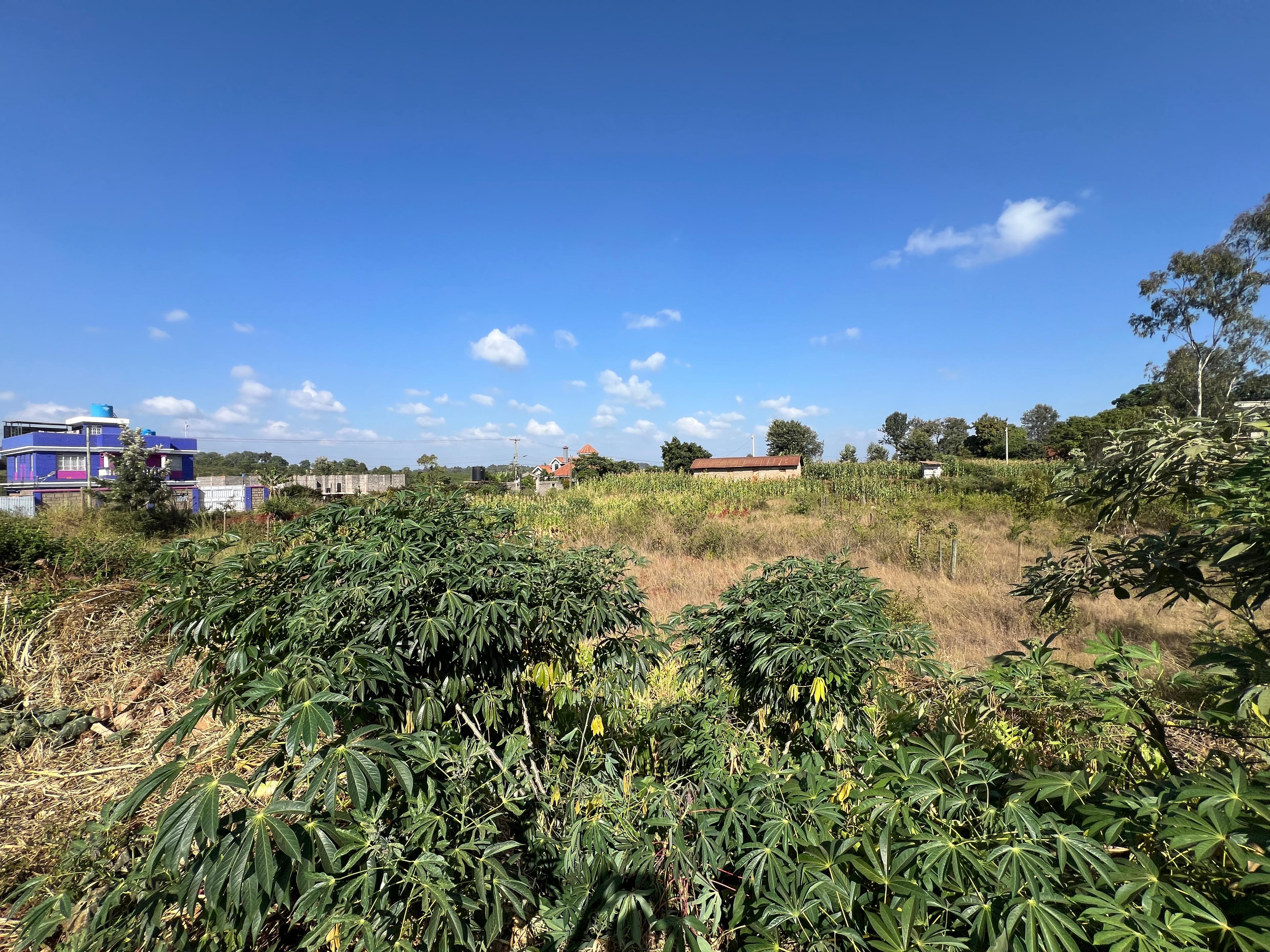 1/8 Plots on sale in Kenyatta Road - Image 6
