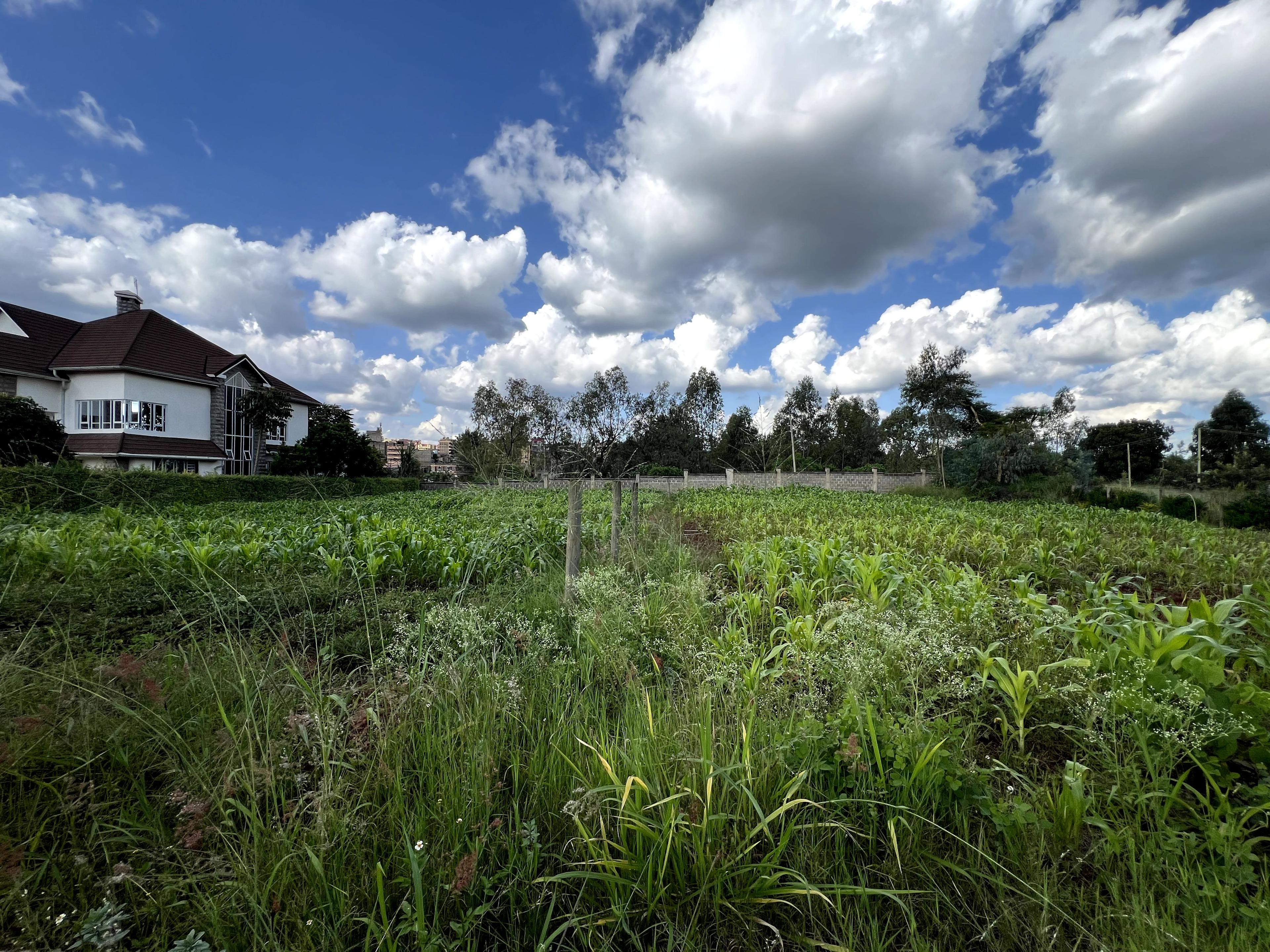 1/4 Plots for Sale – Kenyatta Road - Image 1