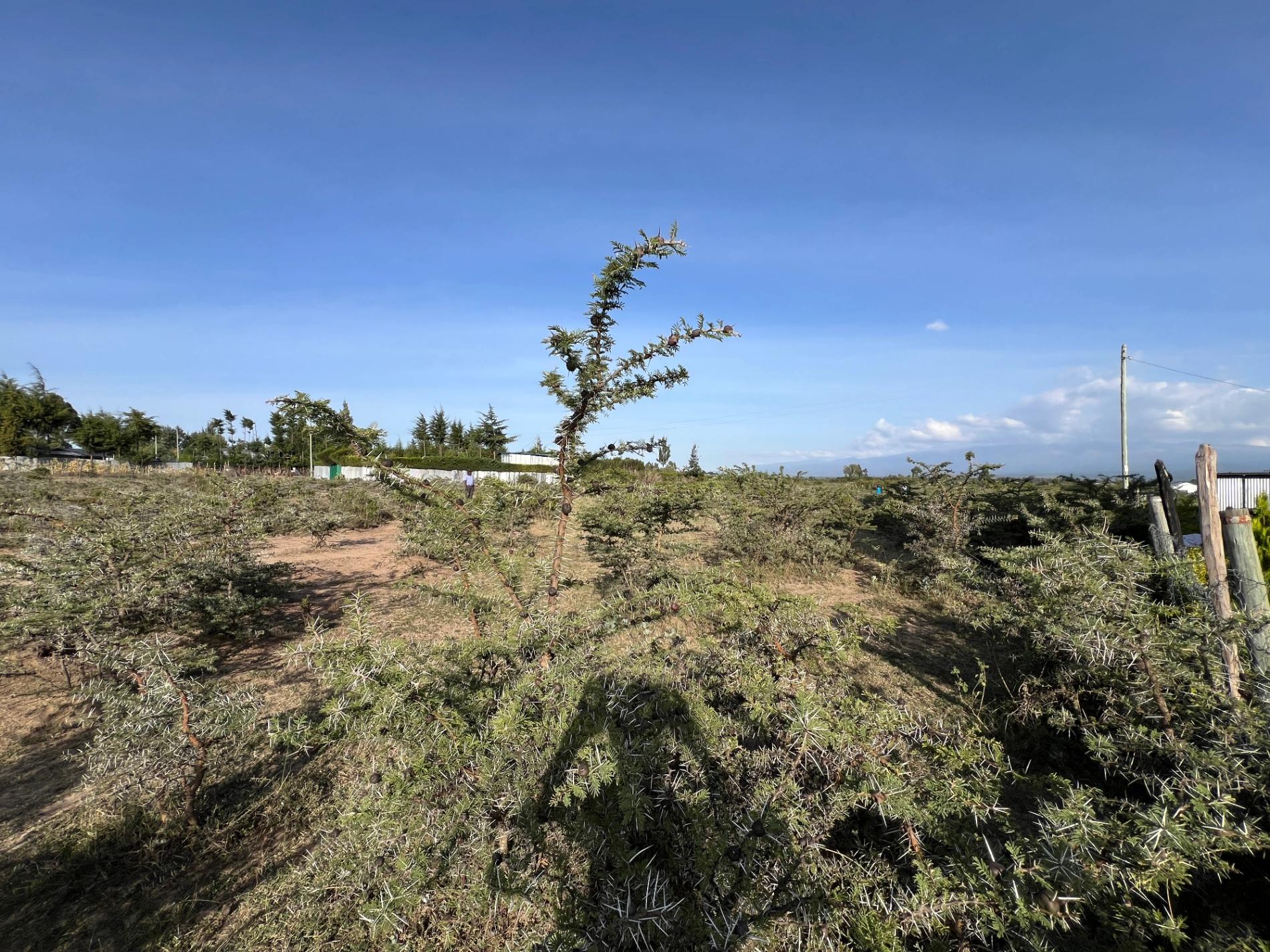 1/4 Plots for sale in Nanyuki - Image 1