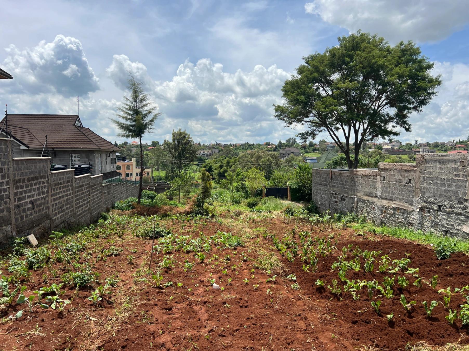 Plots for Sale – Ukombozi Estate, Ruiru - Image 1
