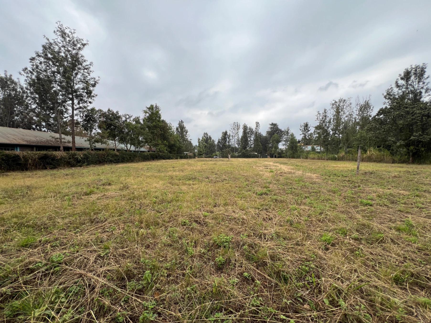 Plots for sale in Kenol Town- Muranga County - Image 1
