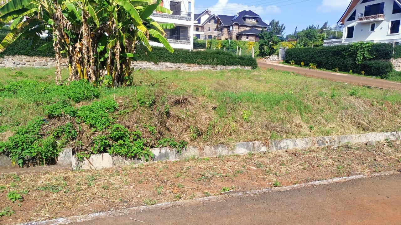1/4 Plots for Sale in Daykio Bustani Ruiru - Image 2