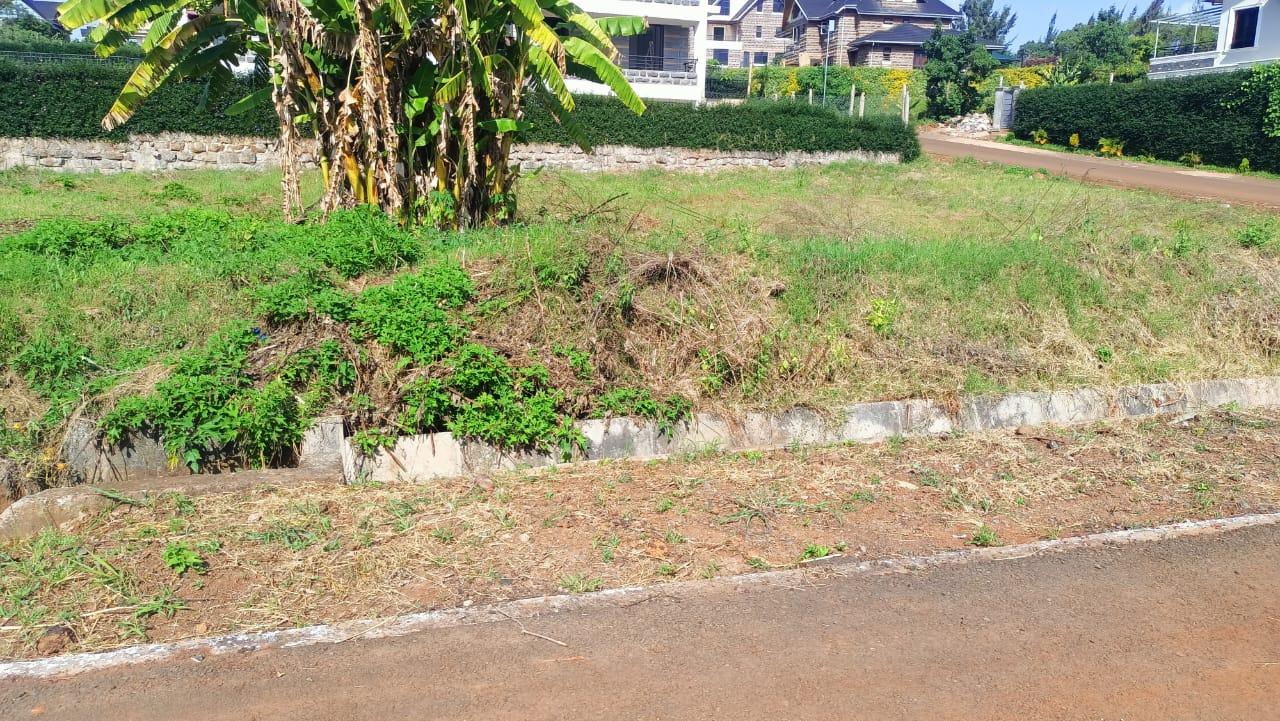 1/4 Plots for Sale in Daykio Bustani Ruiru - Image 4