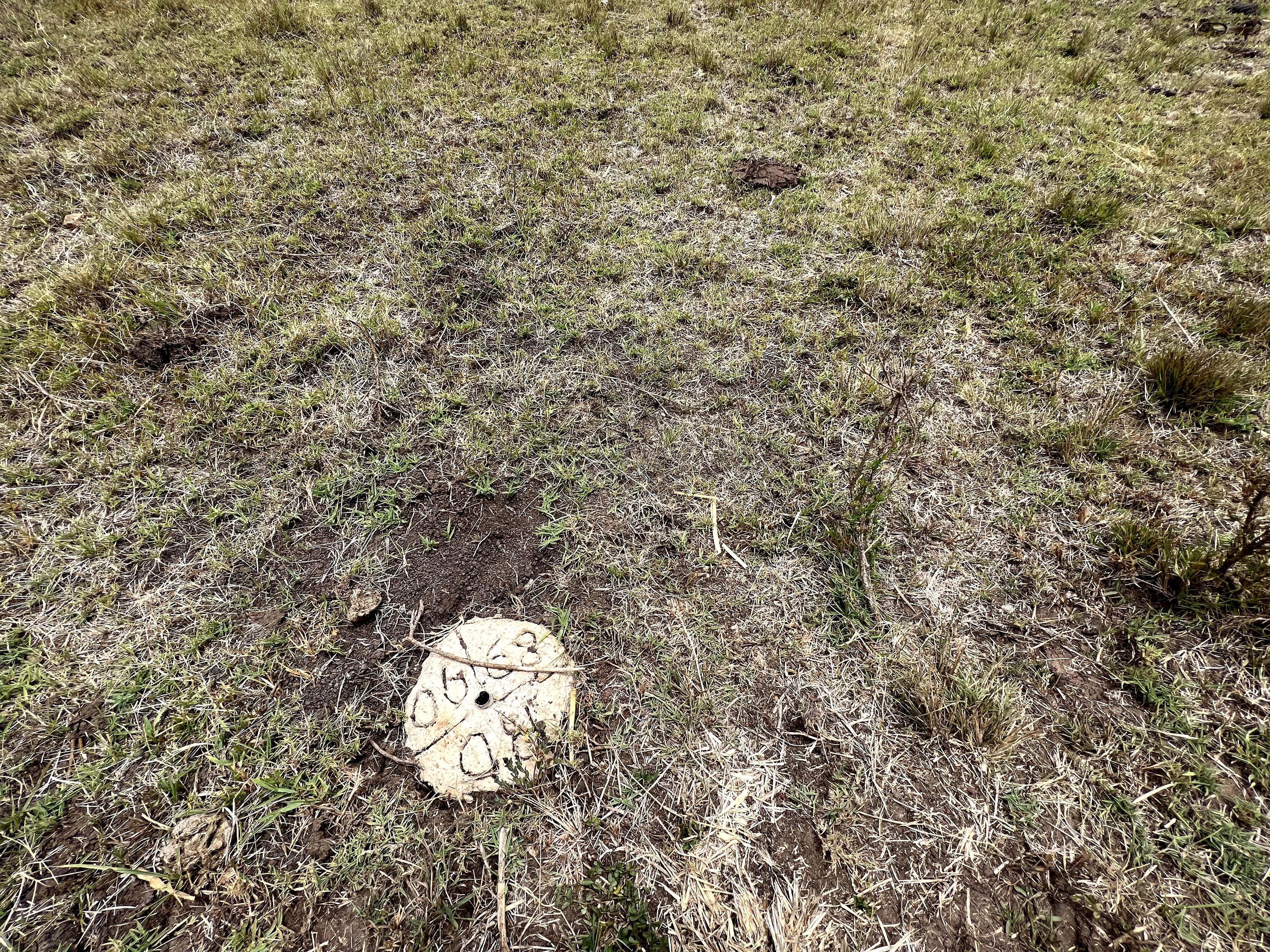 Plots on sale in juja tola  - Image 16