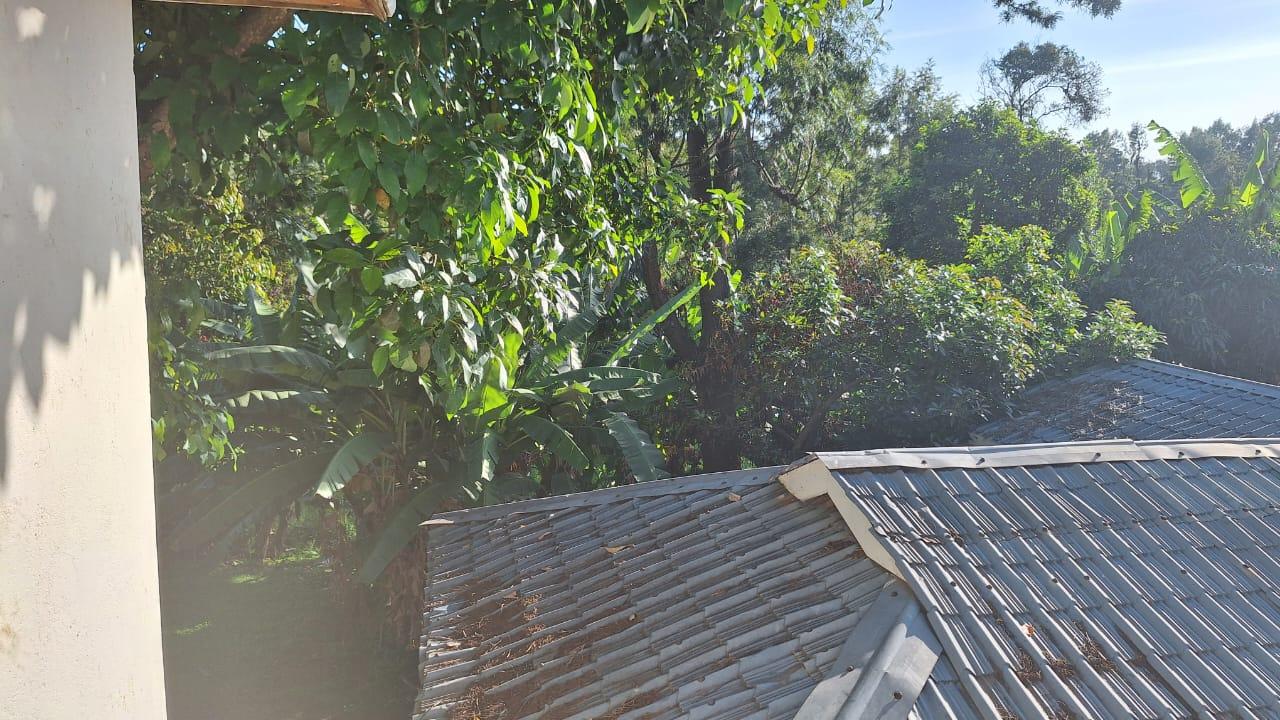 Home to let/sale in Karen  - Image 19