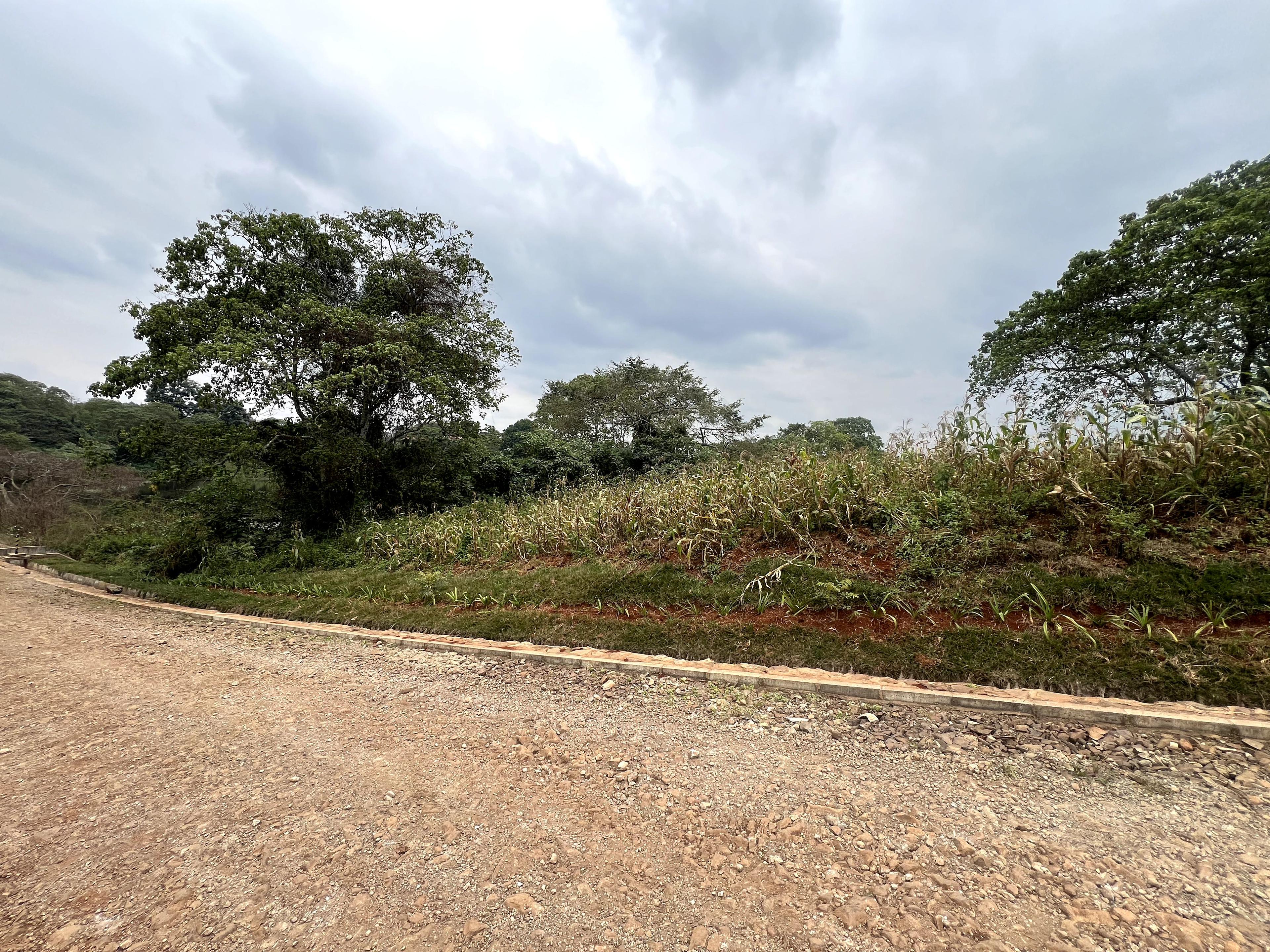 Plots For Sale in Kimbu town -Migga area - Image 3