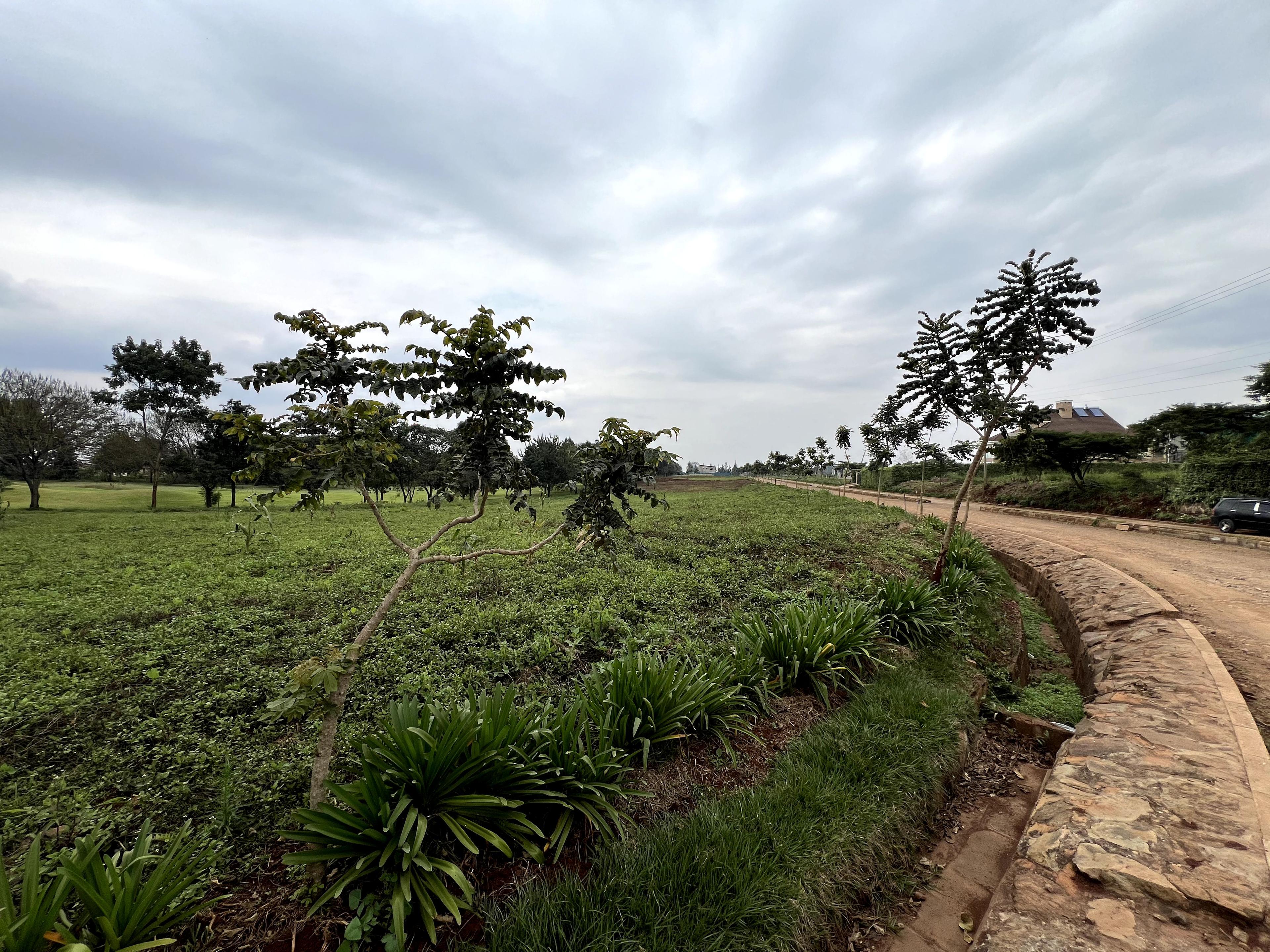 Plots For Sale in Kimbu town -Migga area - Image 4