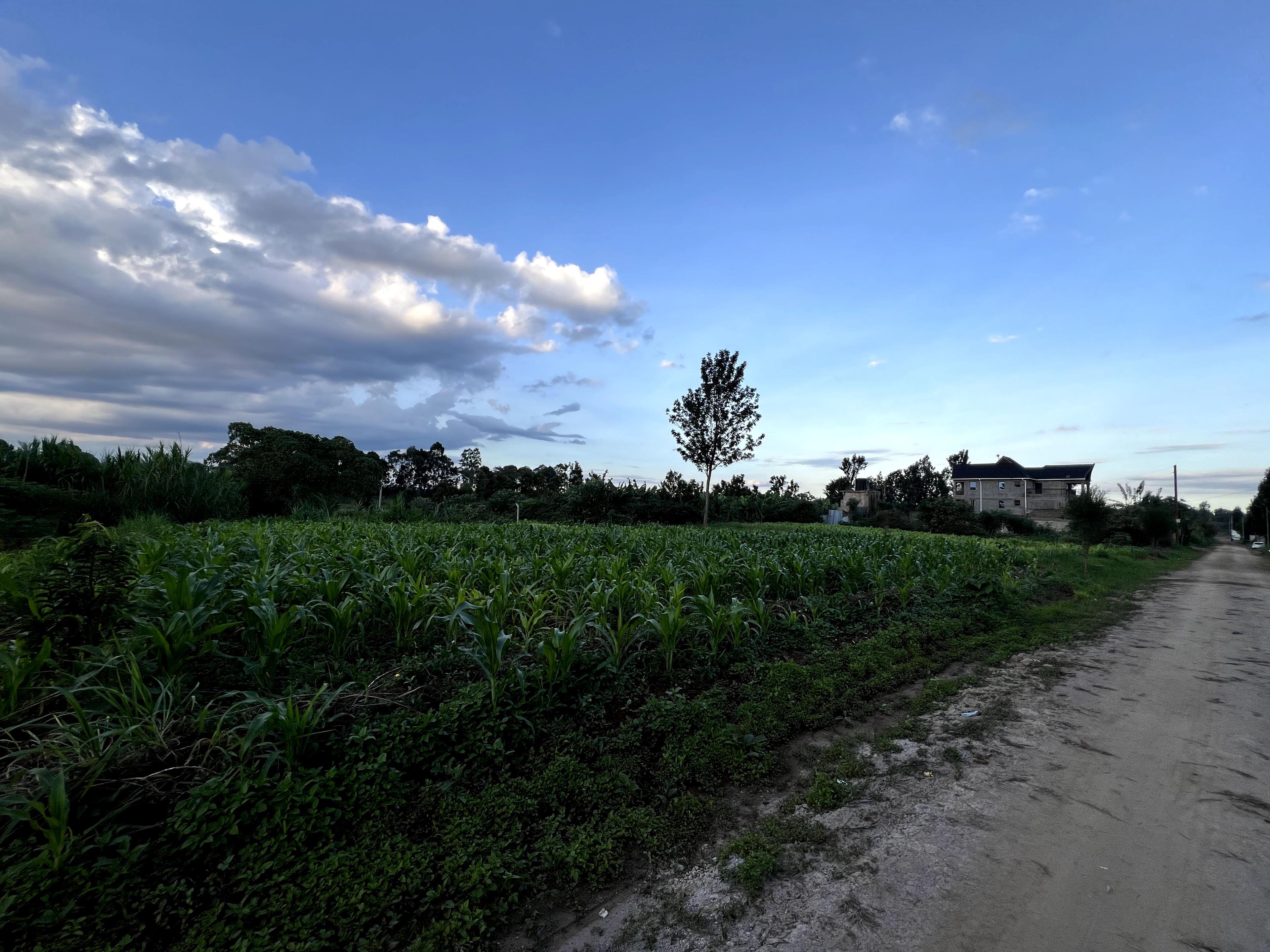 1/8 Plots For Sale in Croton Ridge Estate - Image 4