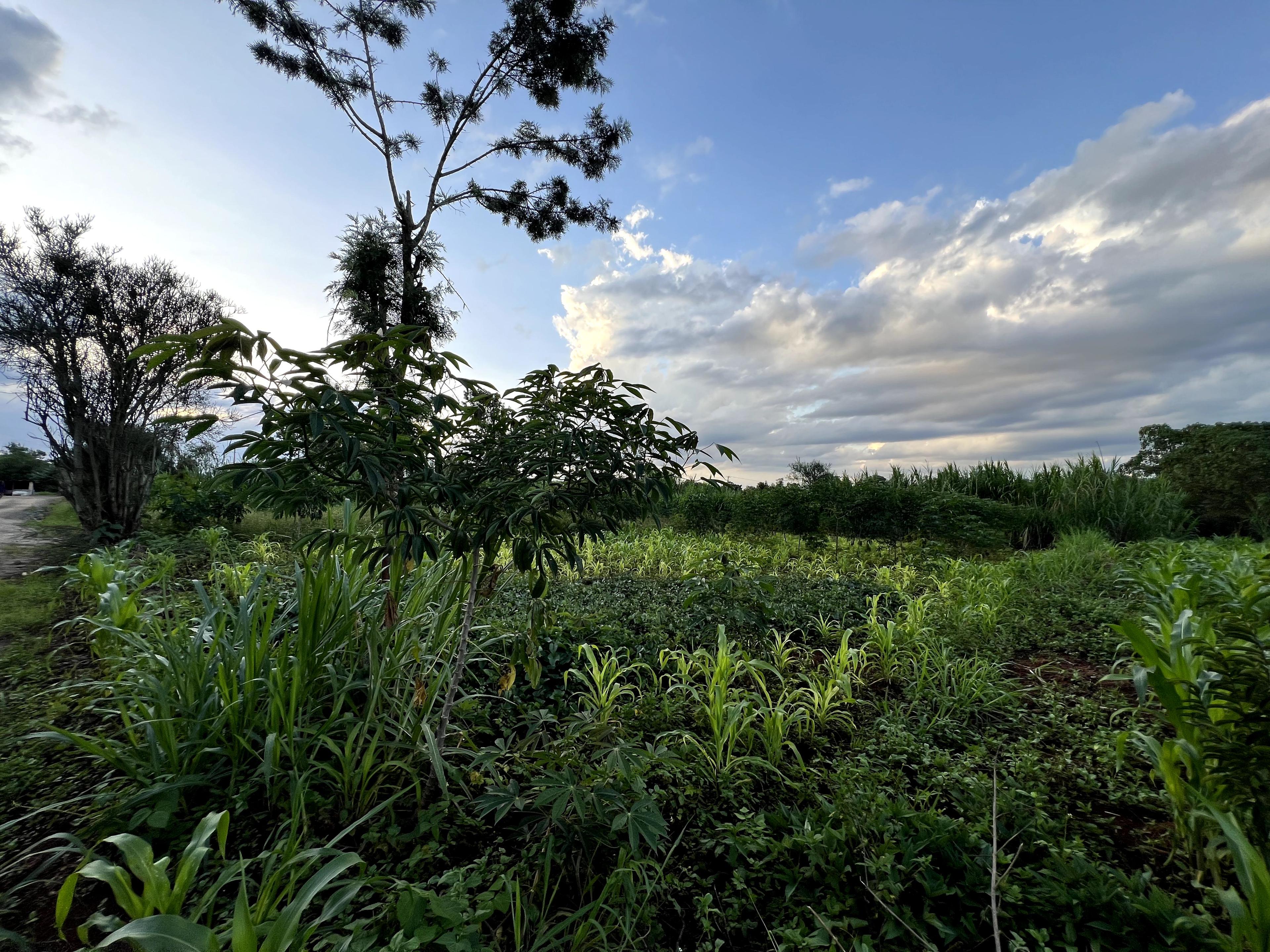 1/8 Plots For Sale in Croton Ridge Estate - Image 7