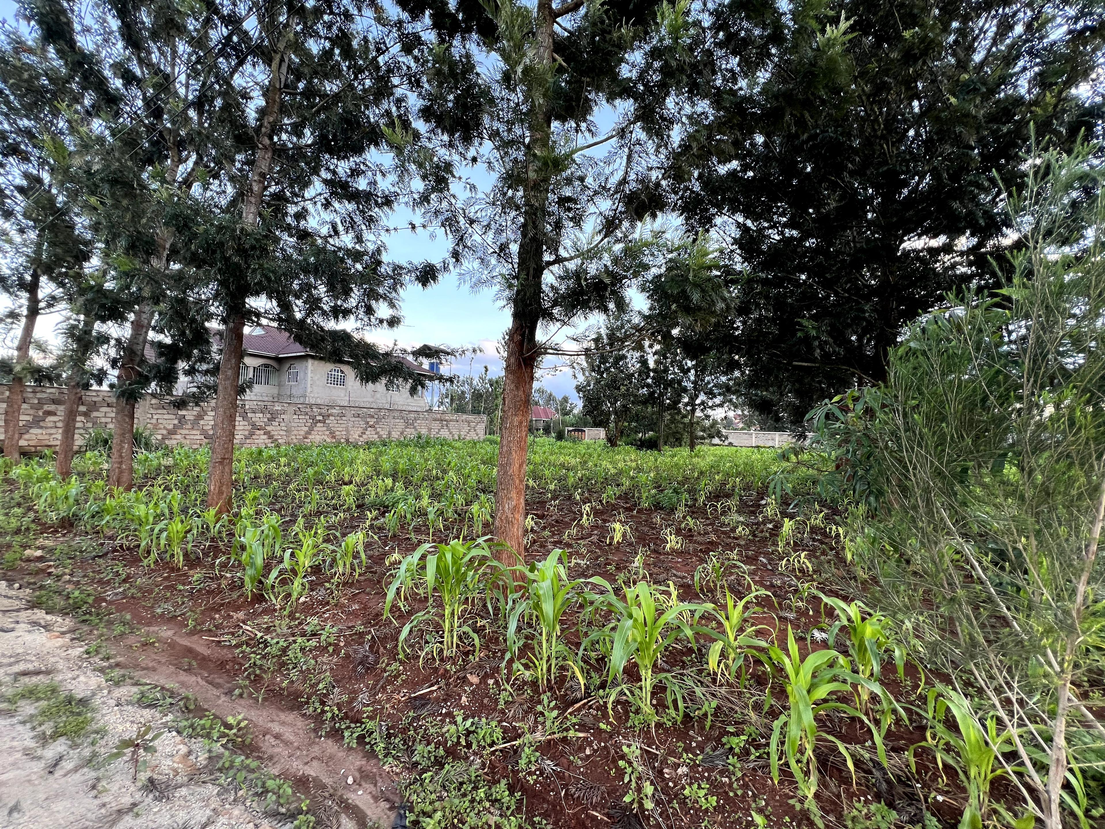 1/8 Plots For Sale in Croton Ridge Estate - Image 10