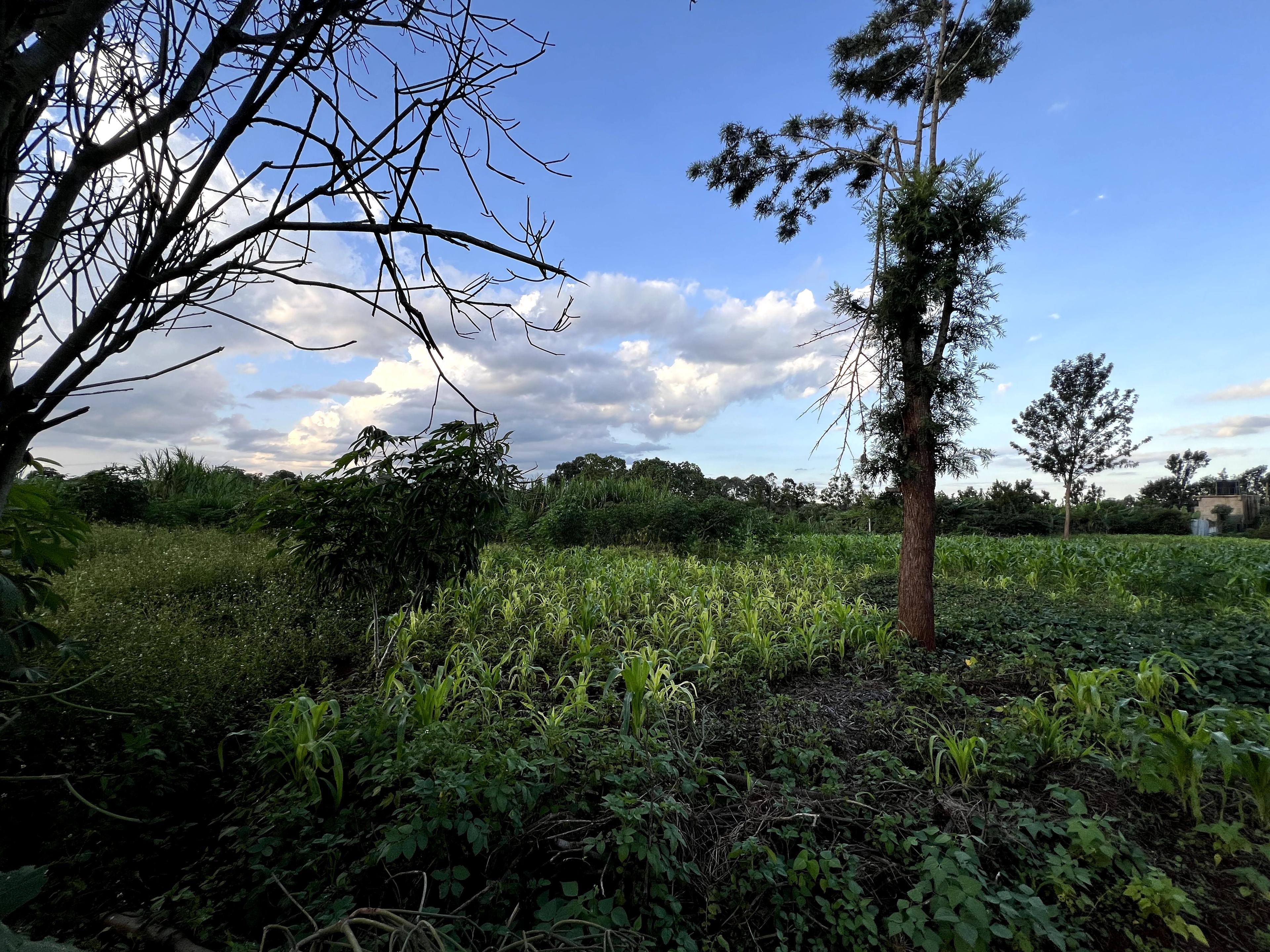1/8 Plots For Sale in Croton Ridge Estate - Image 6