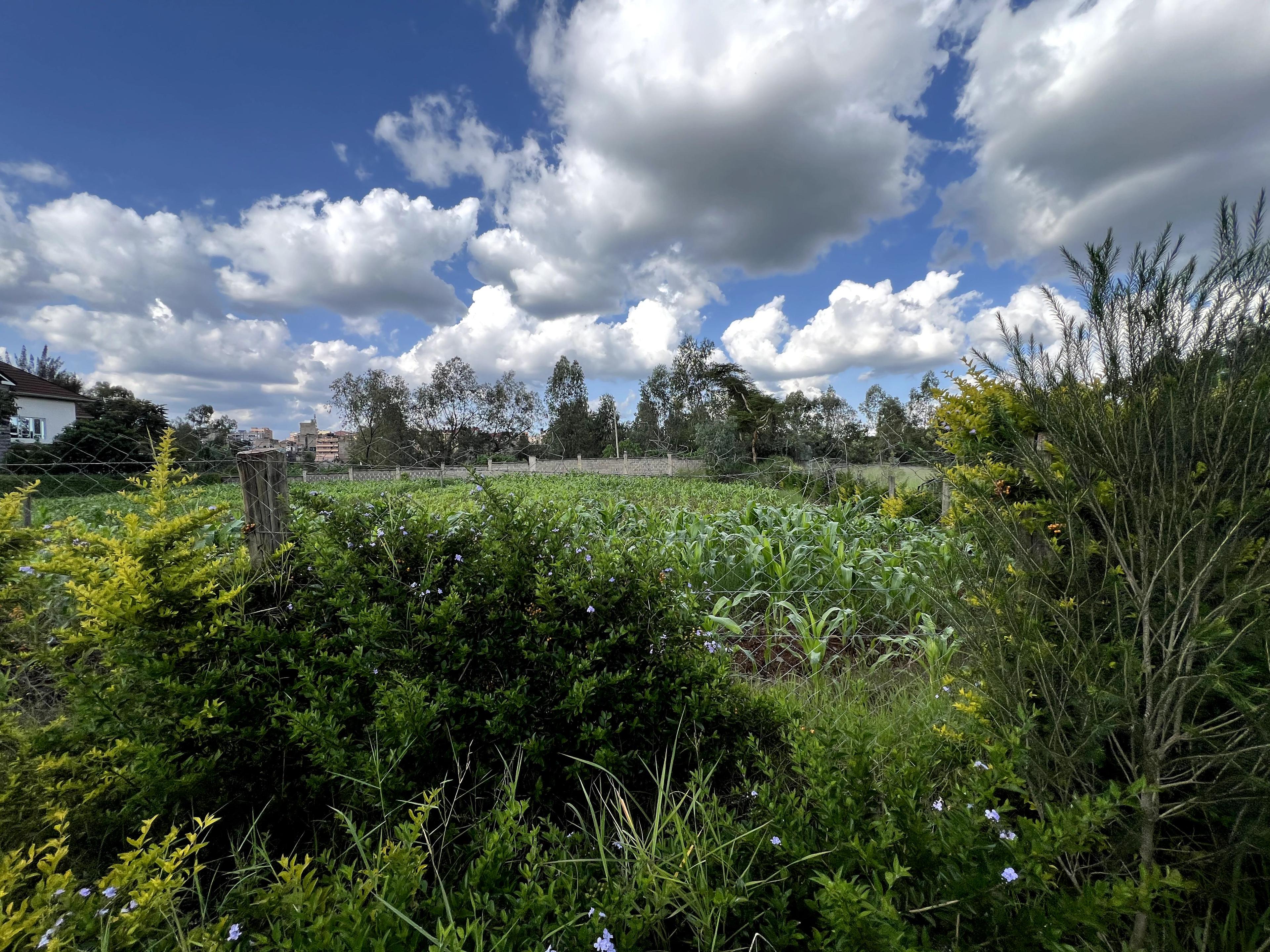 1/4 Plots for Sale – Kenyatta Road - Image 3