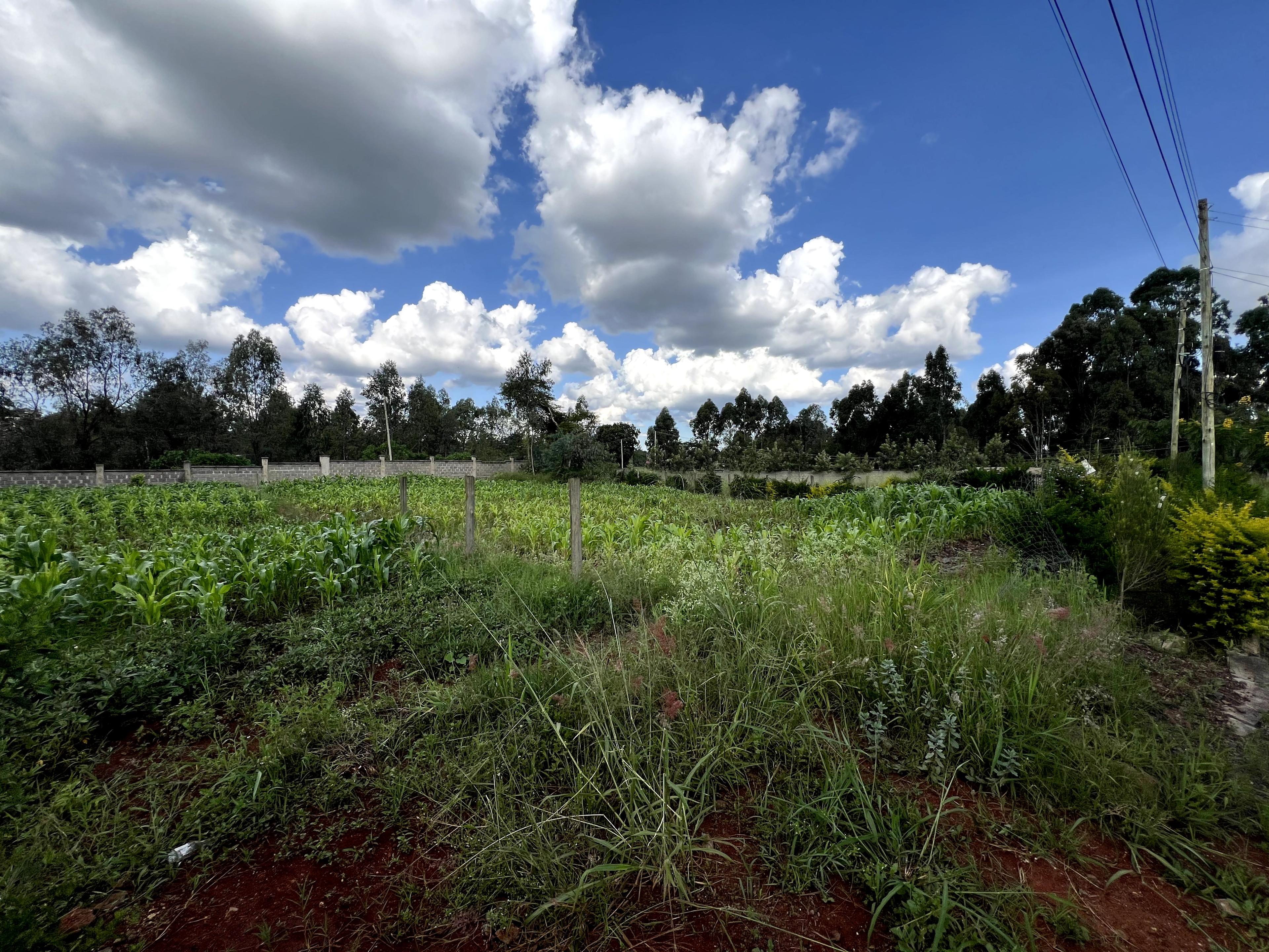 1/4 Plots for Sale – Kenyatta Road - Image 5