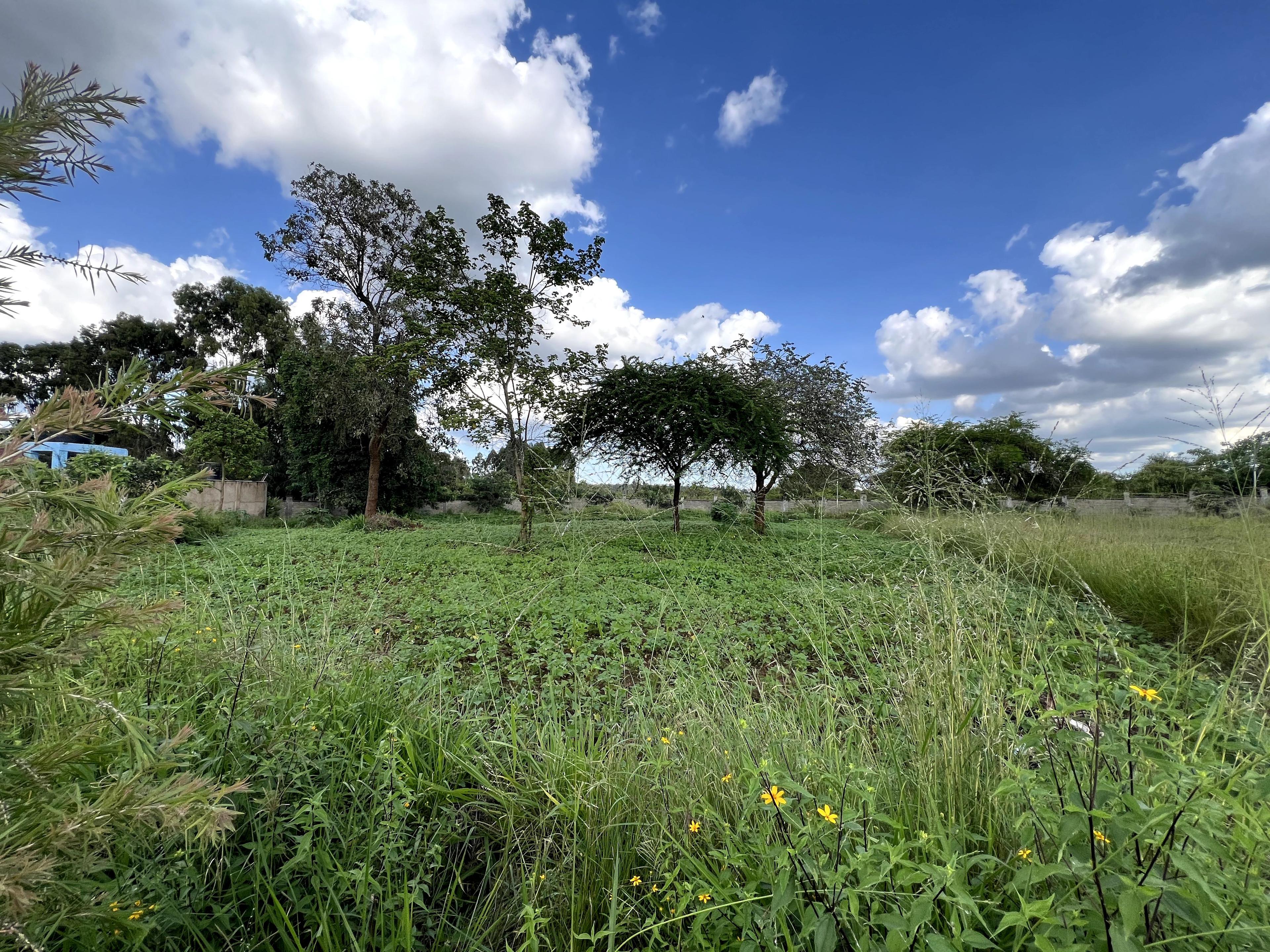 1/4 Plots for Sale – Kenyatta Road - Image 7