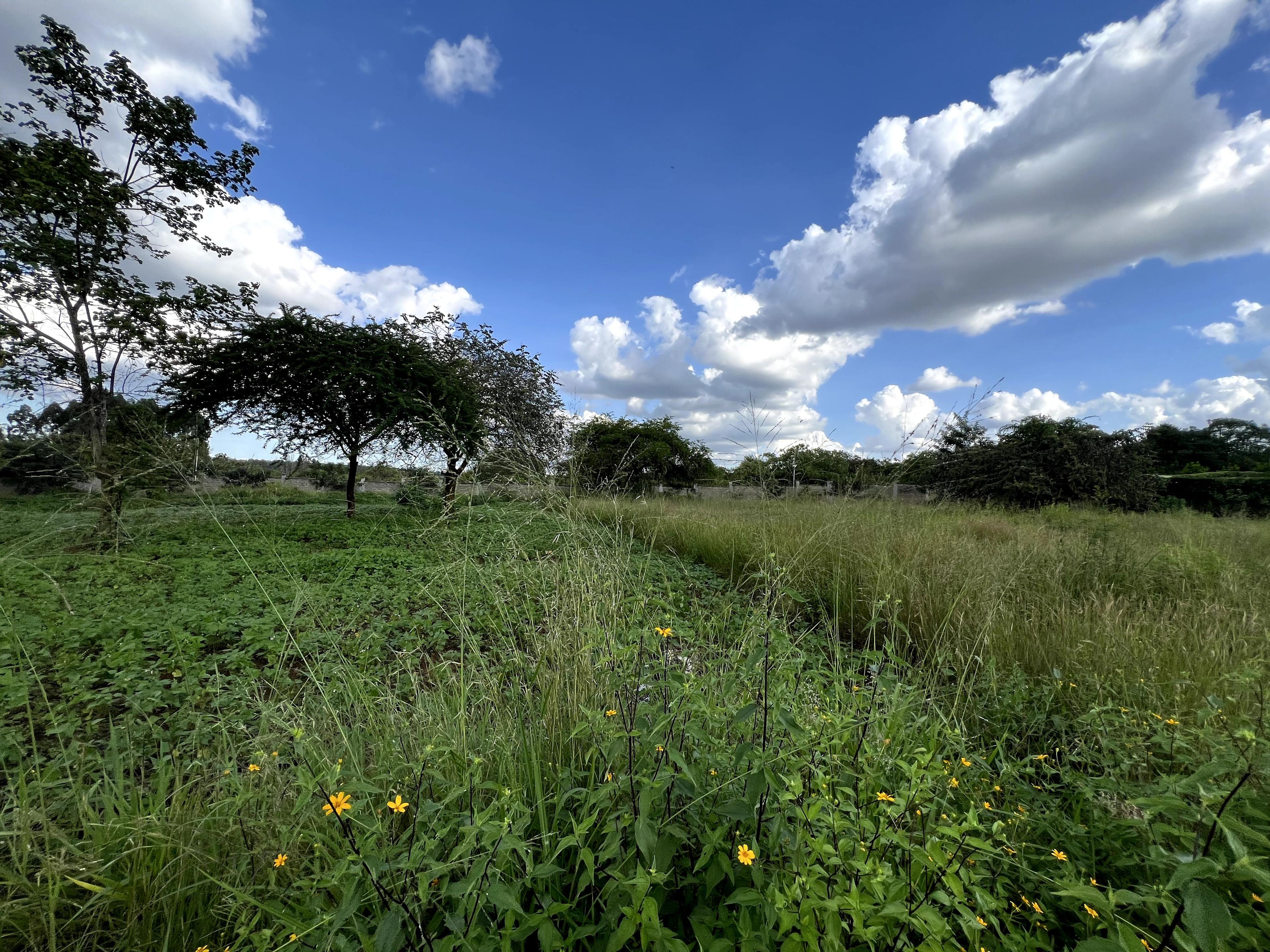1/4 Plots for Sale – Kenyatta Road - Image 4
