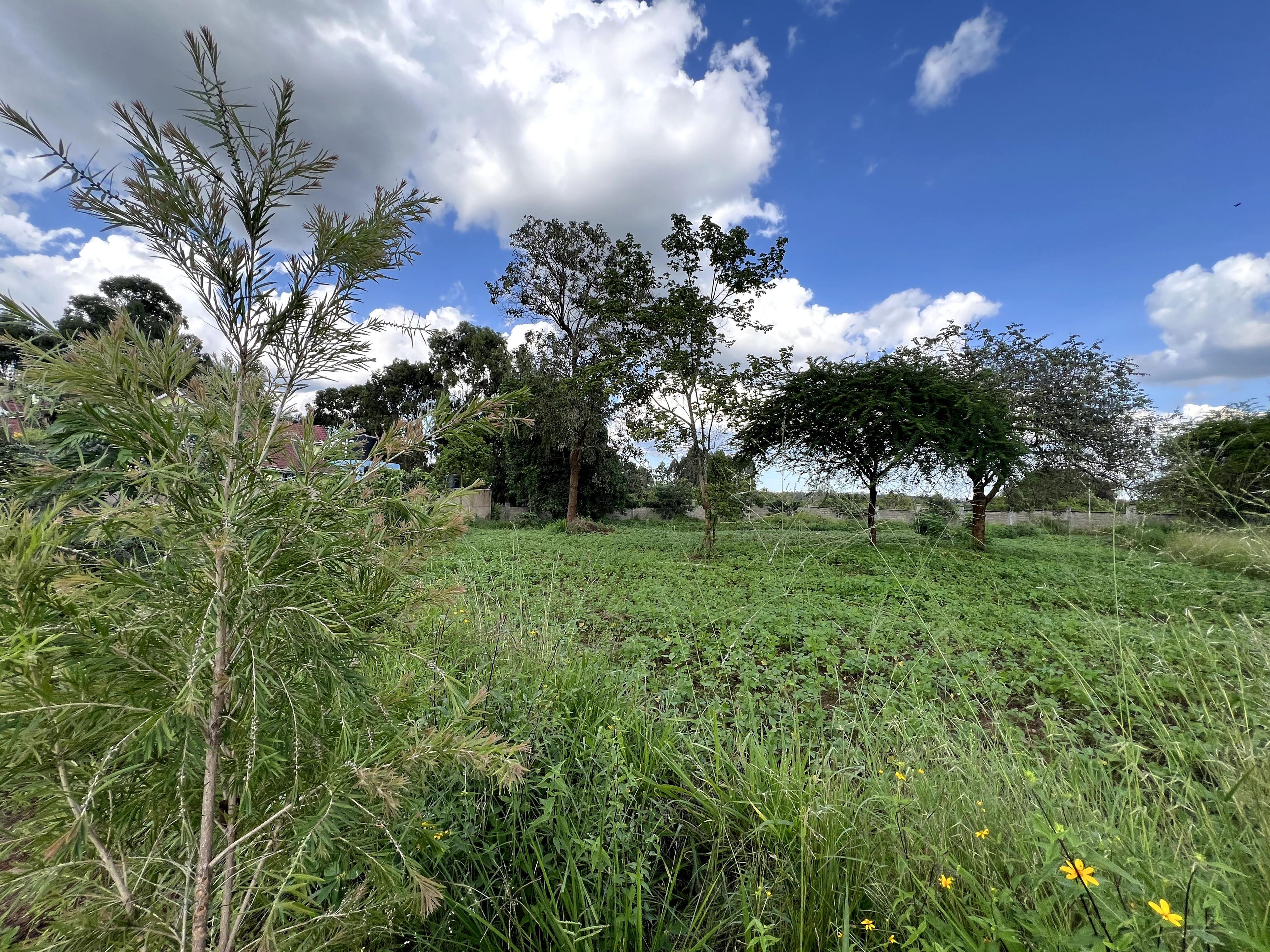 1/4 Plots for Sale – Kenyatta Road - Image 10