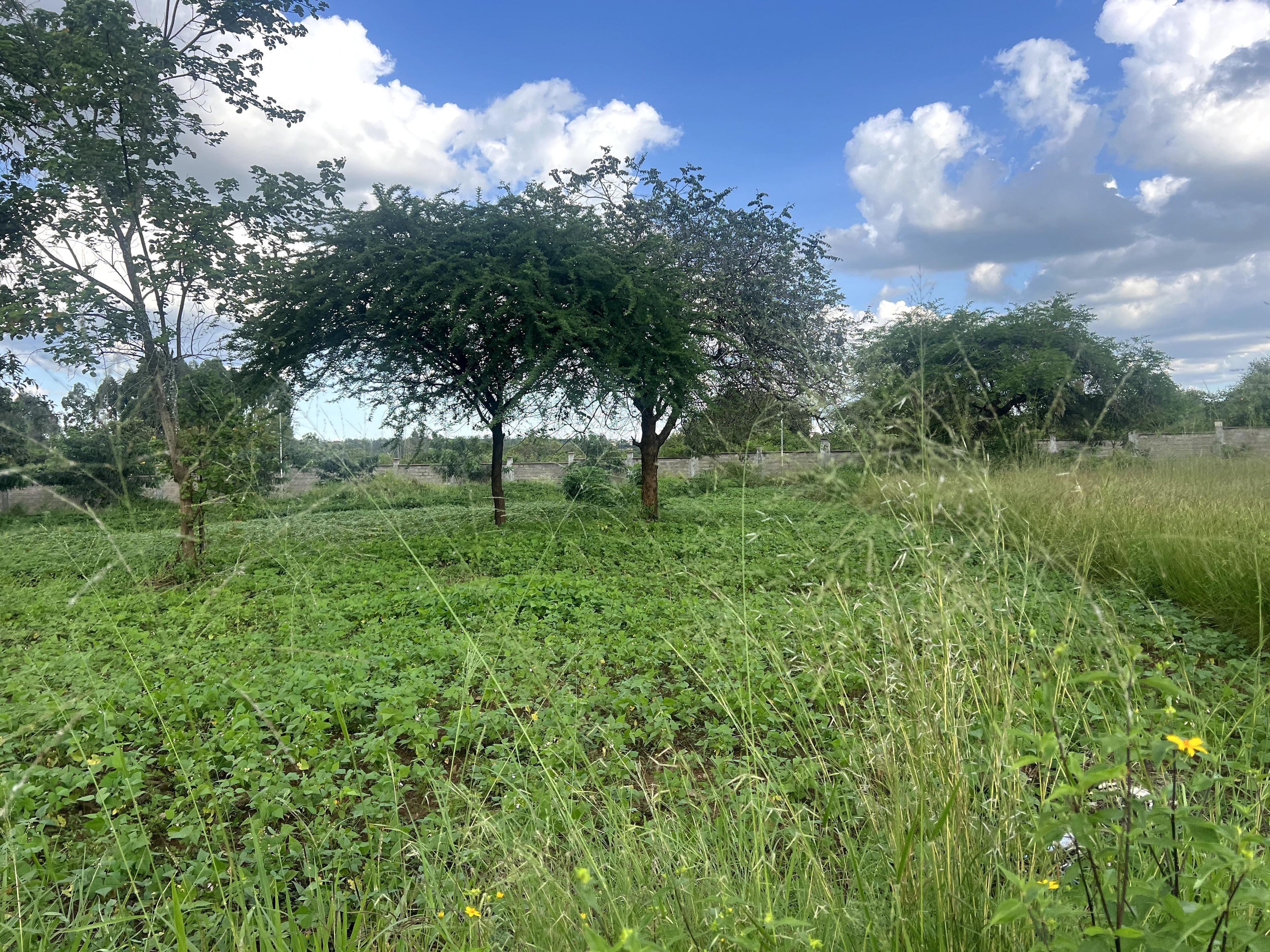 1/4 Plots for Sale – Kenyatta Road - Image 8