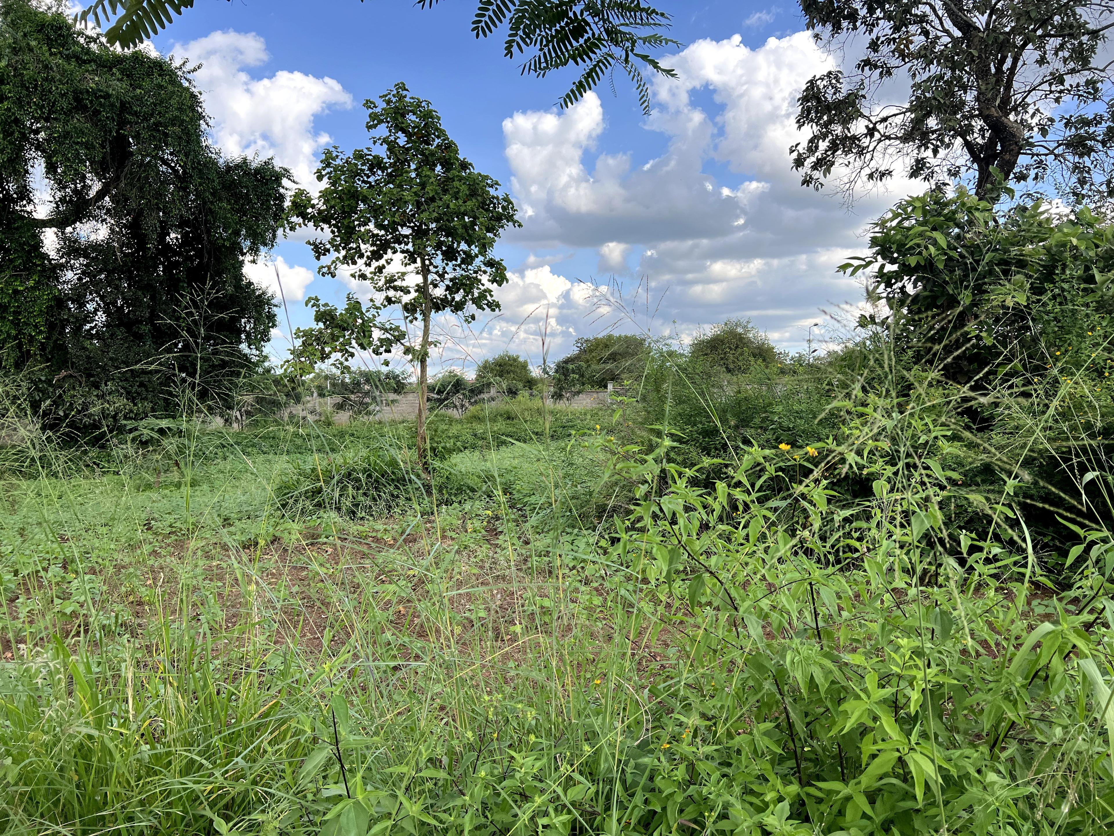 1/4 Plots for Sale – Kenyatta Road - Image 15