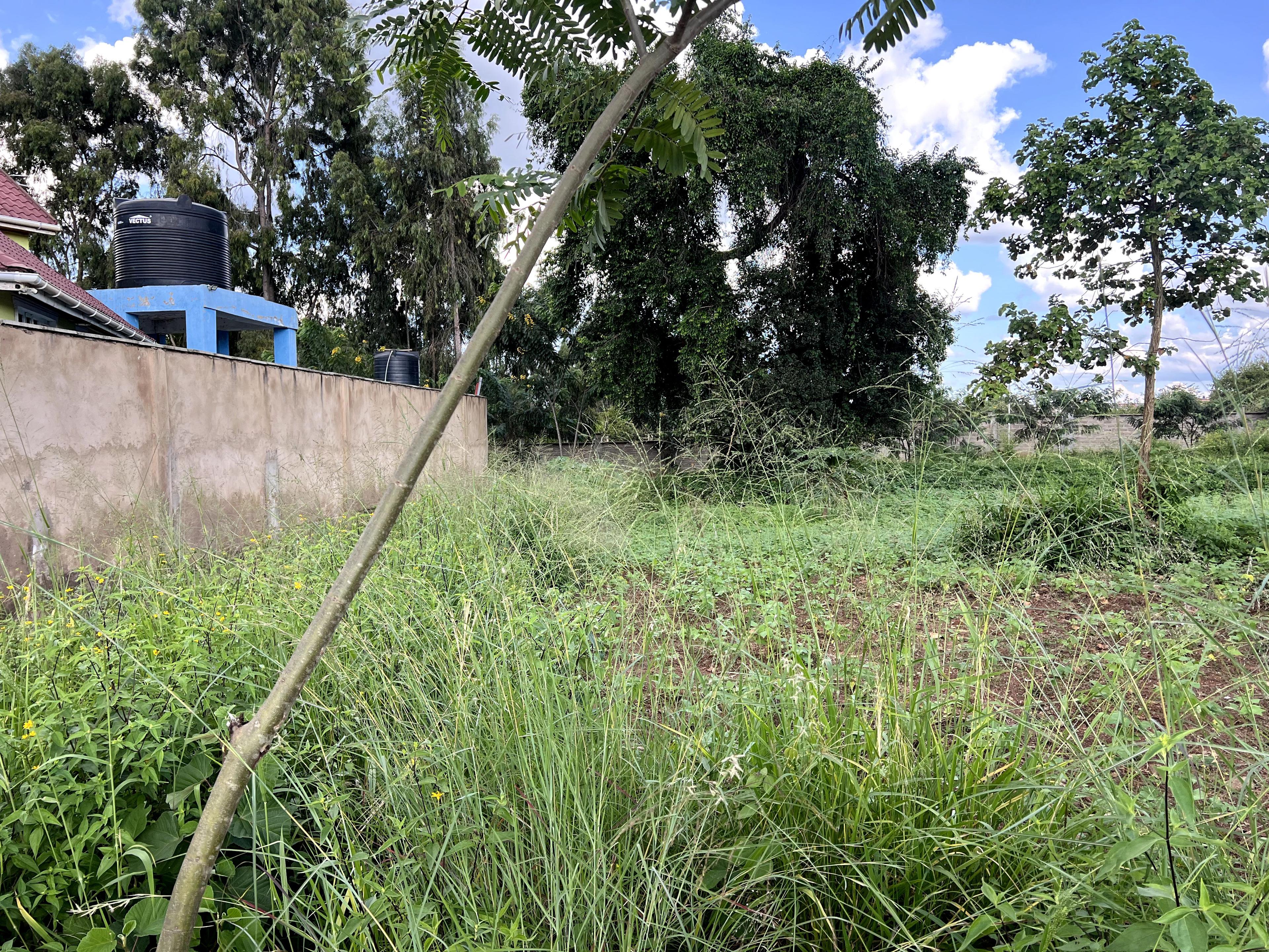1/4 Plots for Sale – Kenyatta Road - Image 14