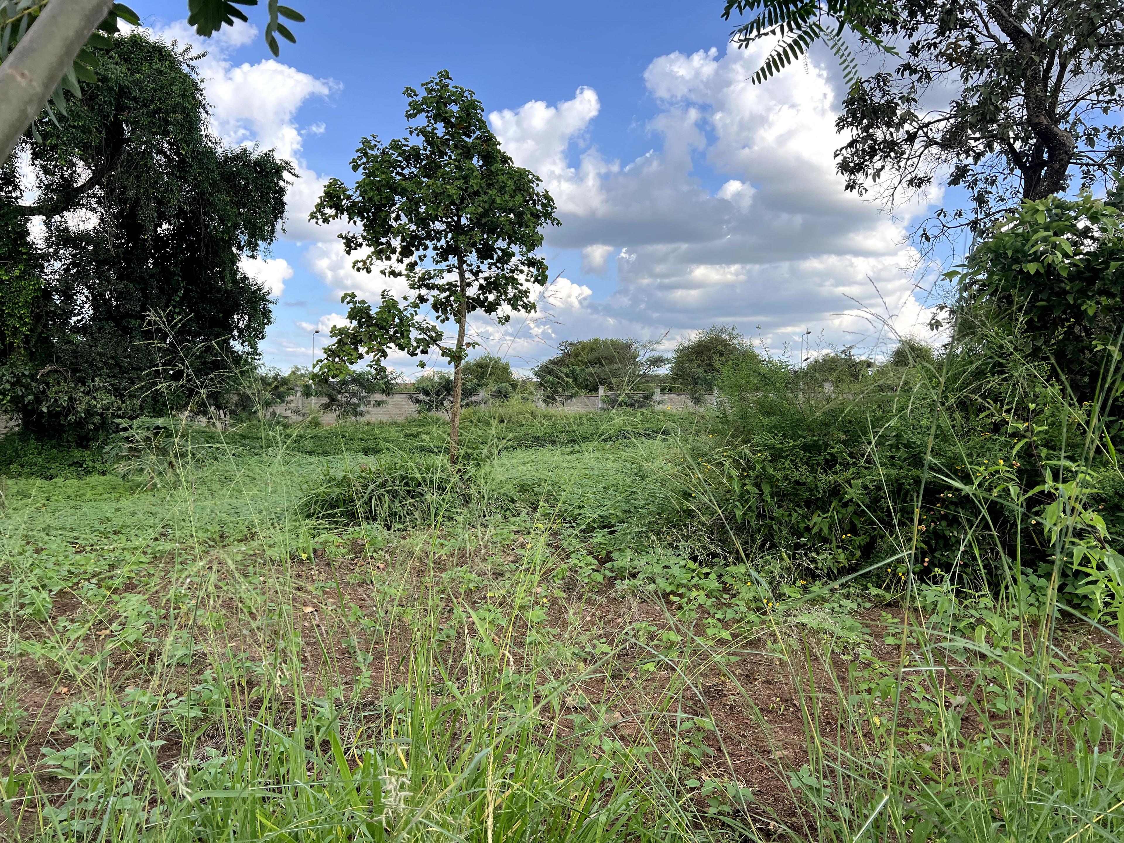 1/4 Plots for Sale – Kenyatta Road - Image 13