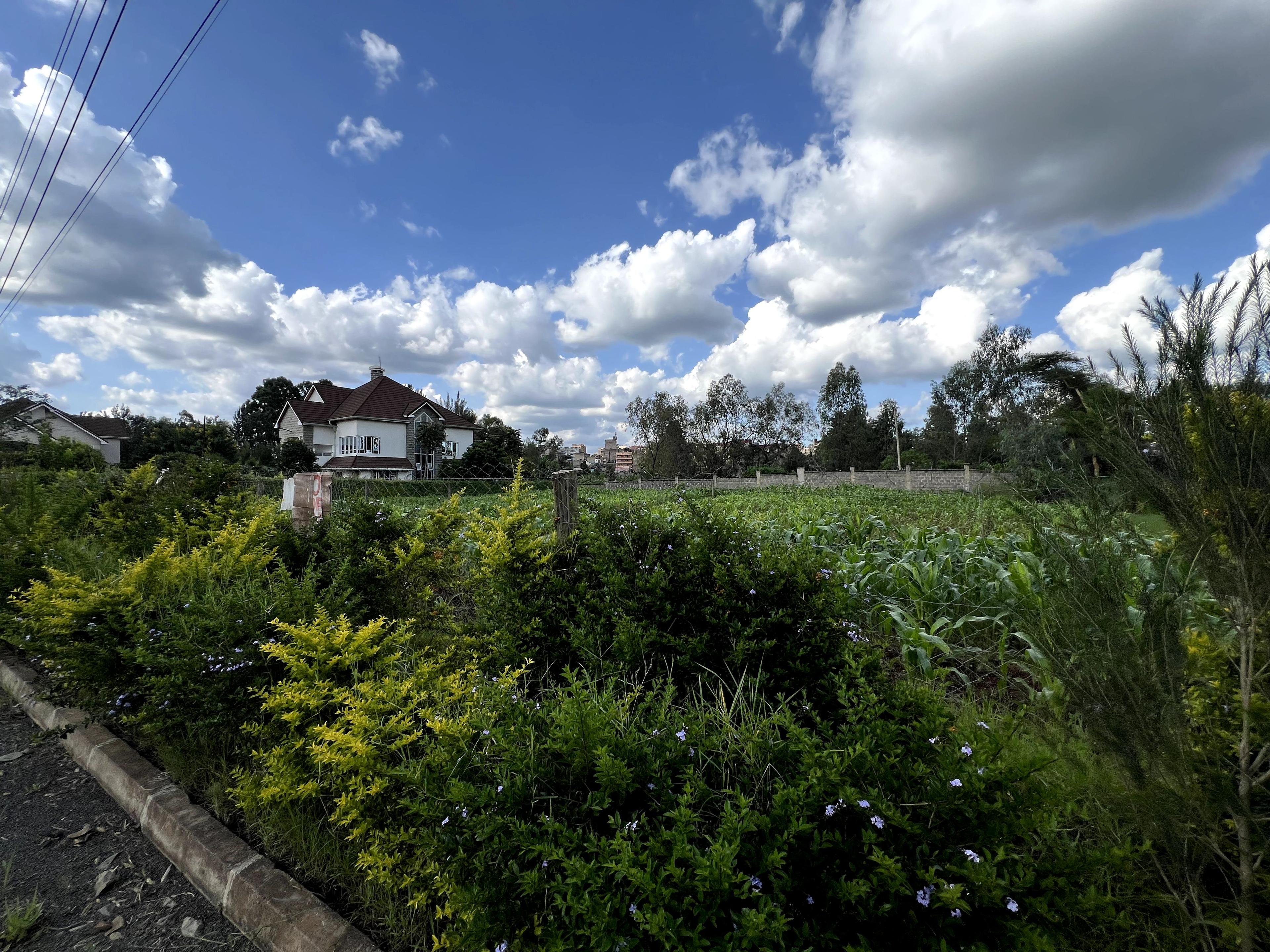 1/4 Plots for Sale – Kenyatta Road - Image 17