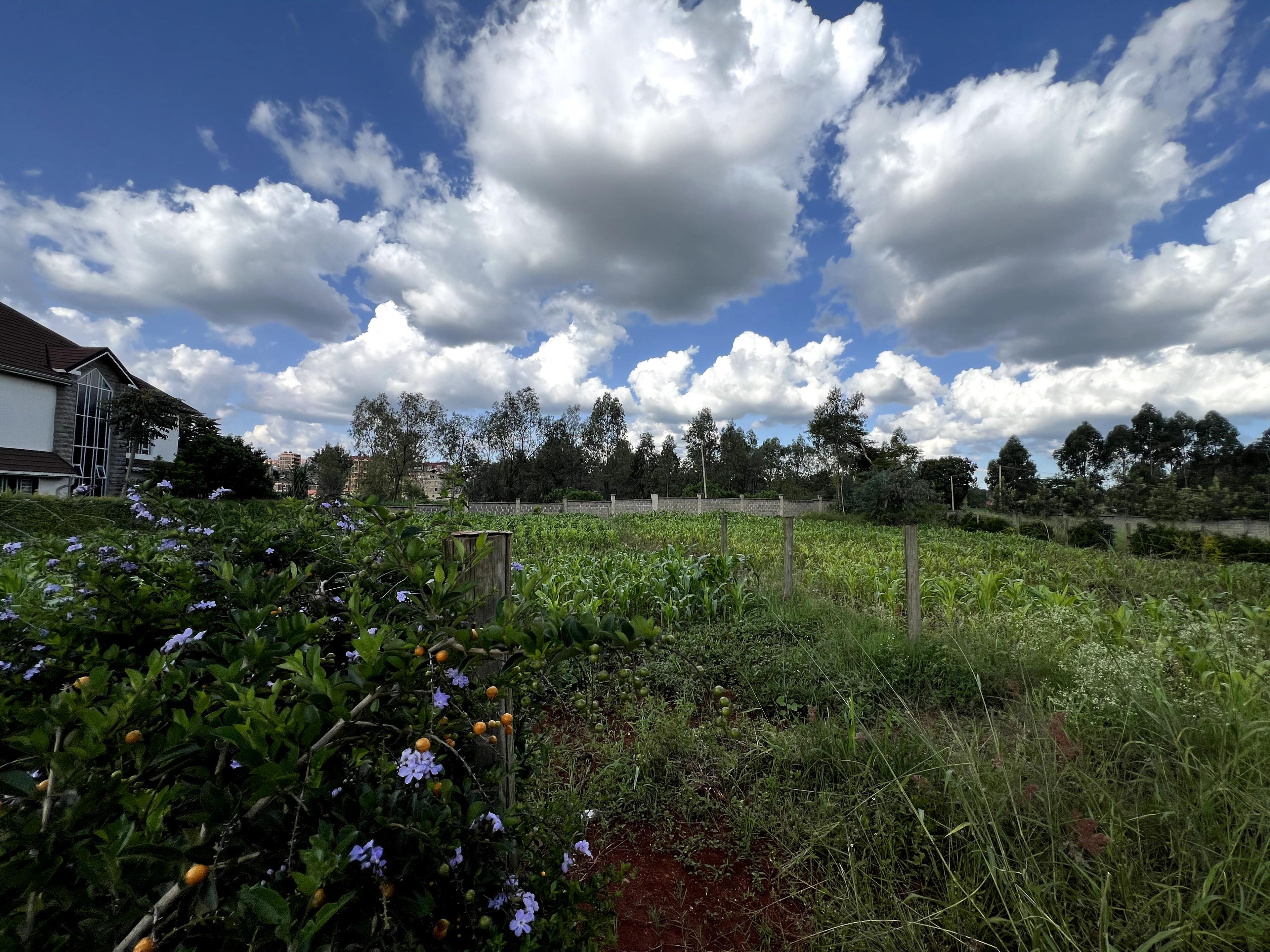 1/4 Plots for Sale – Kenyatta Road - Image 18