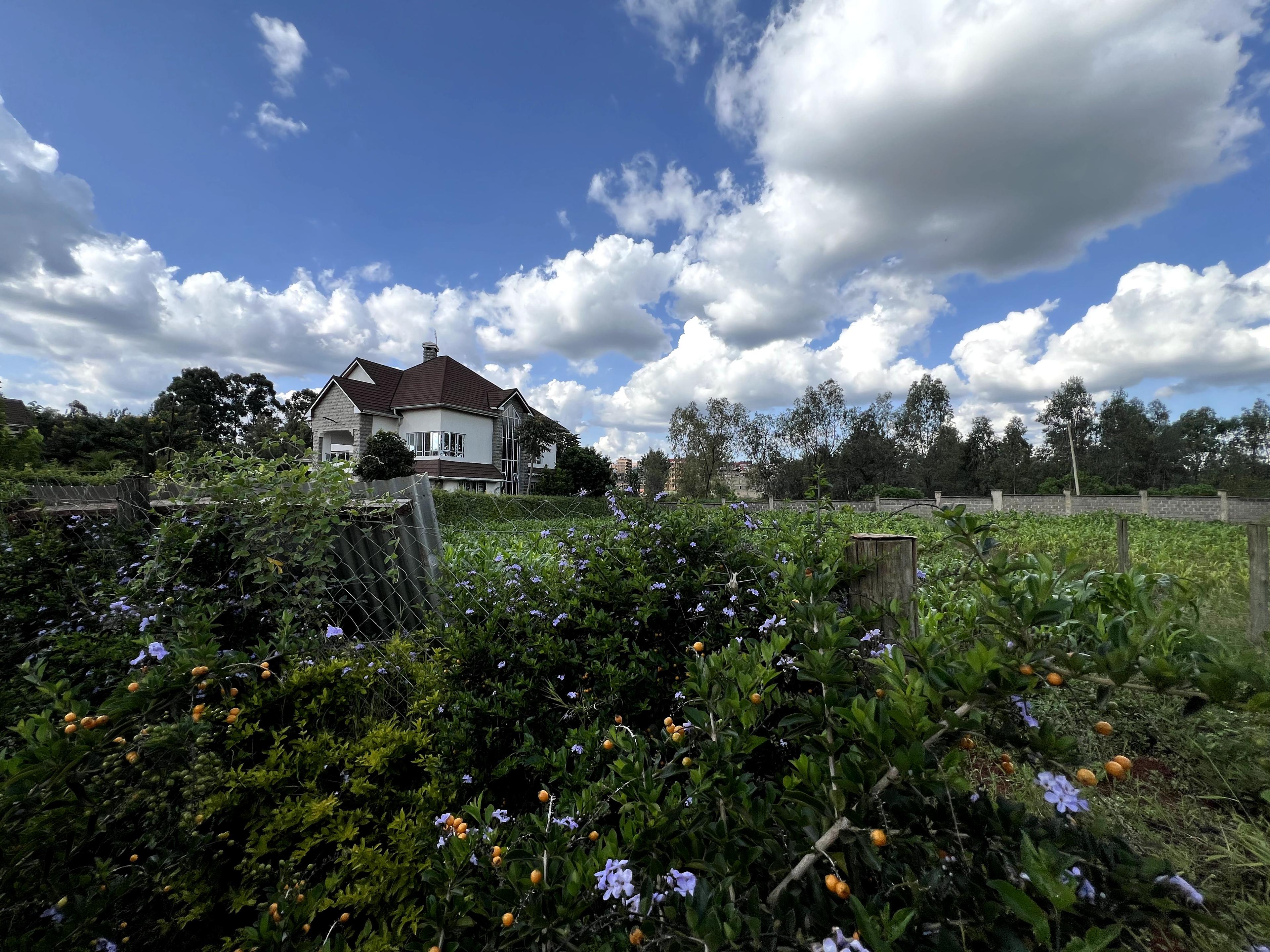 1/4 Plots for Sale – Githunguri Road - Image 6