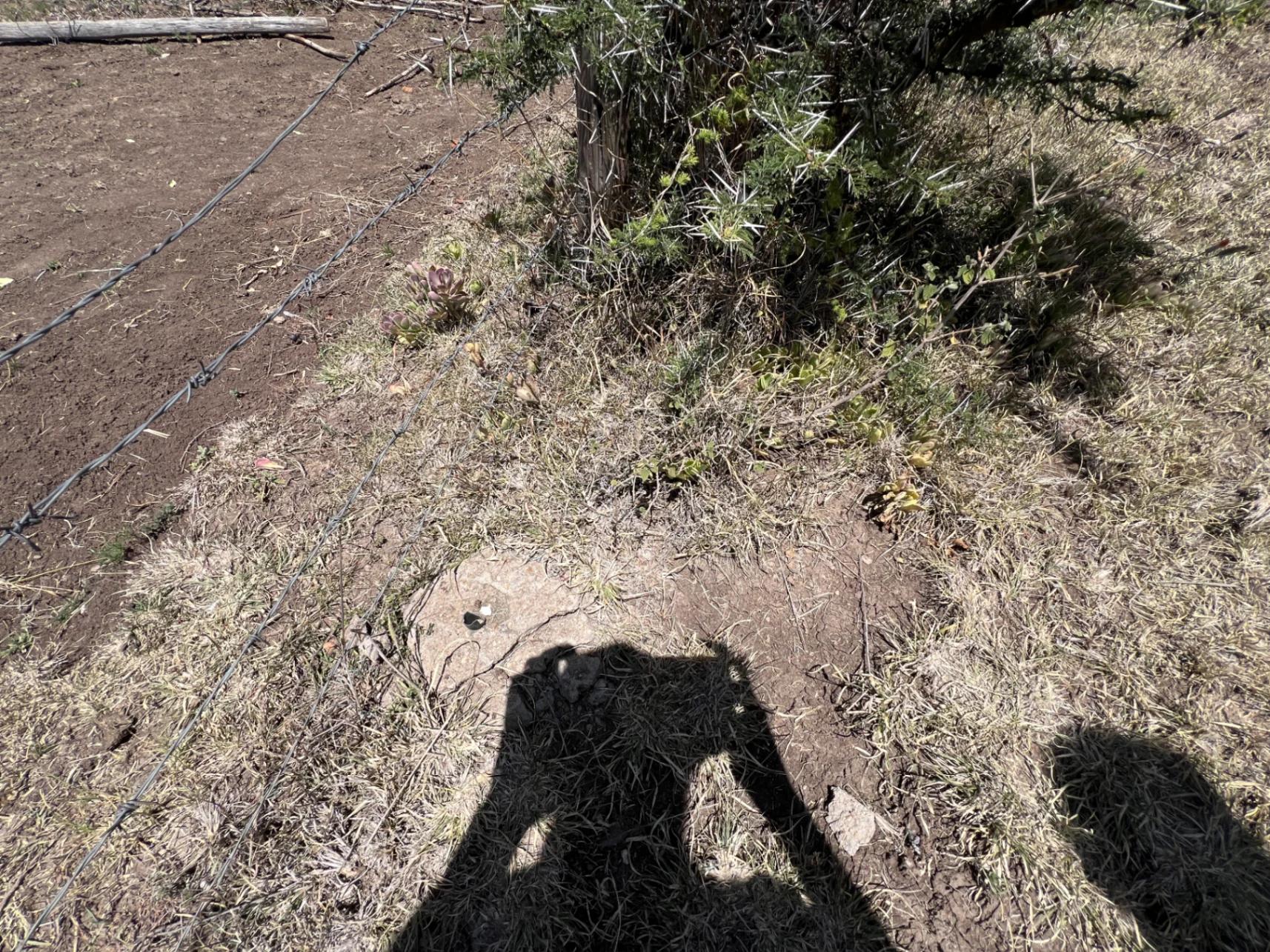 1/8 Plots for sale in Nanyuki - Image 7