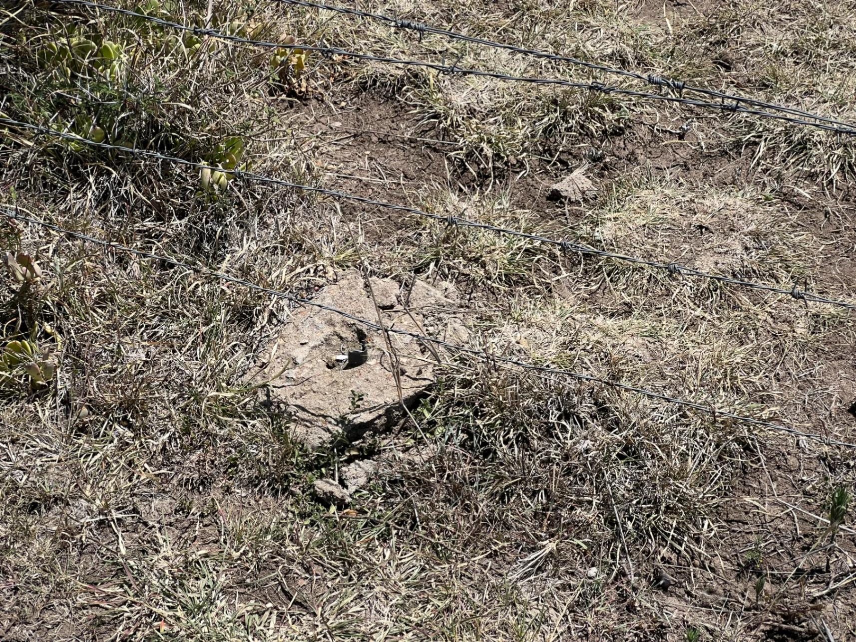 1/8 Plots for sale in Nanyuki - Image 8