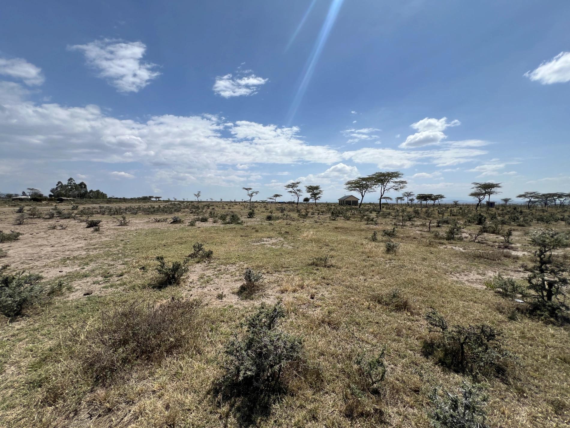 1/4 Plots for sale in Nanyuki - Image 7