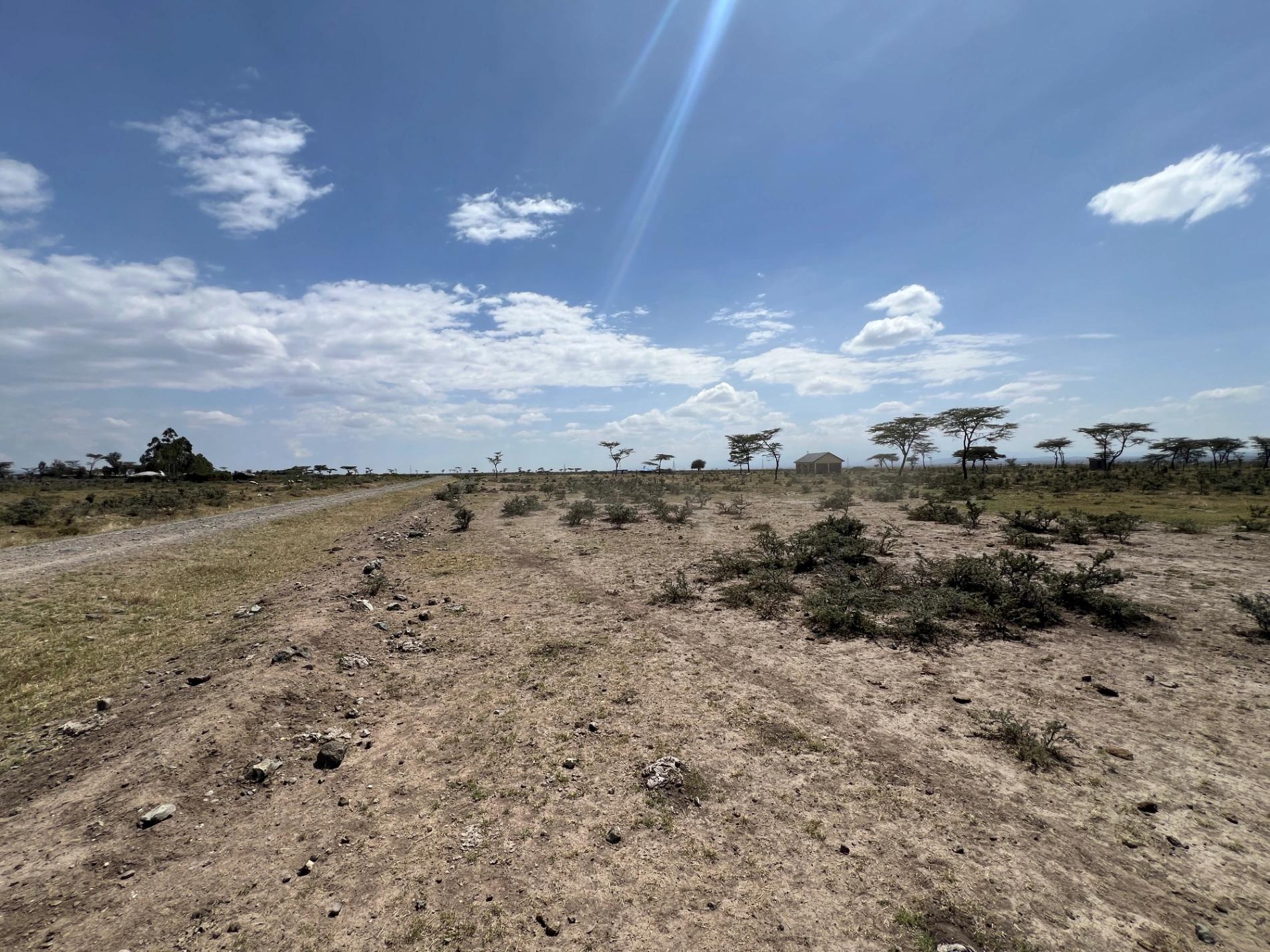 1/4 Plots for sale in Nanyuki - Image 2