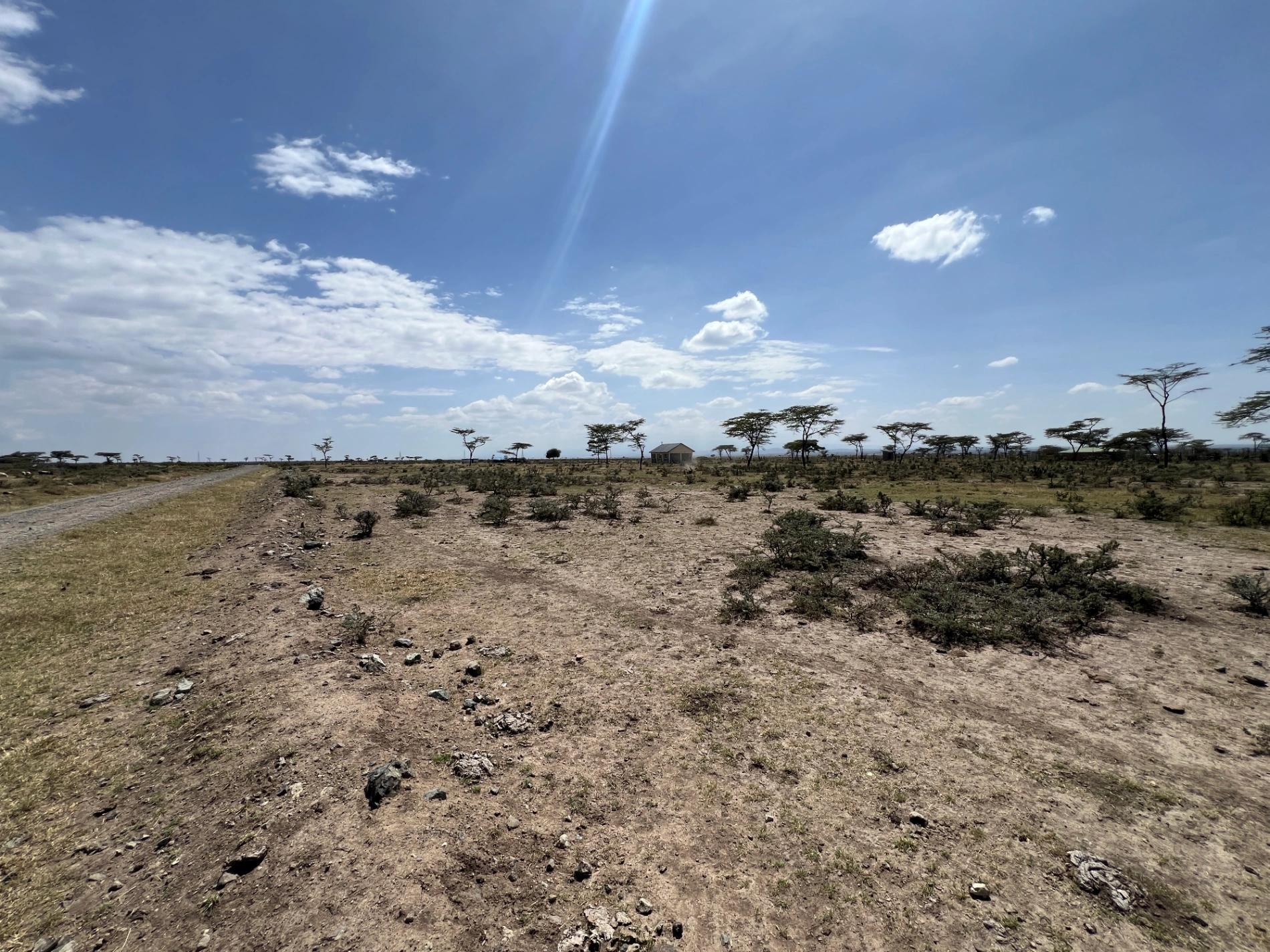 1/4 Plots for sale in Nanyuki - Image 6