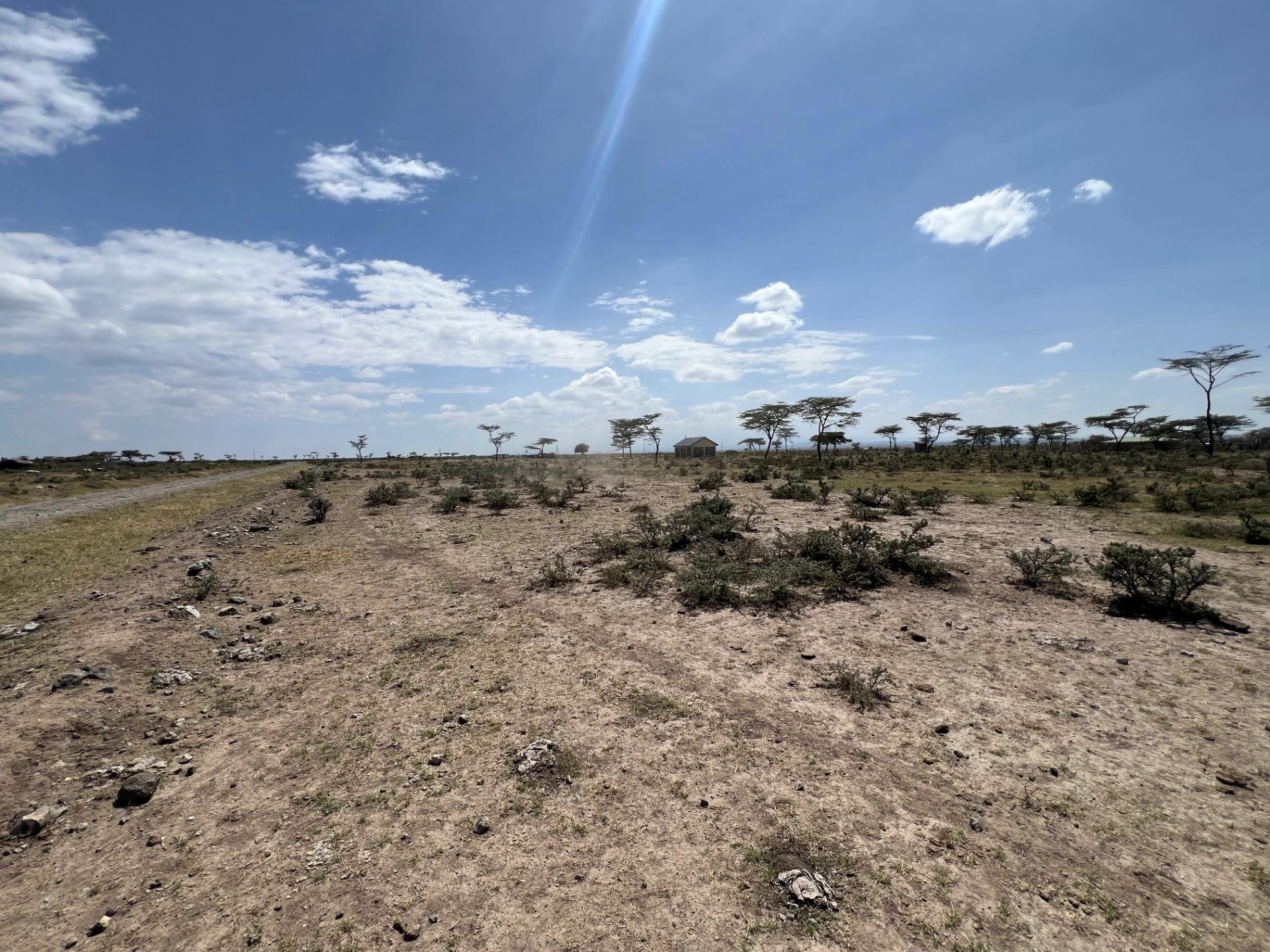 1/4 Plots for sale in Nanyuki - Image 8