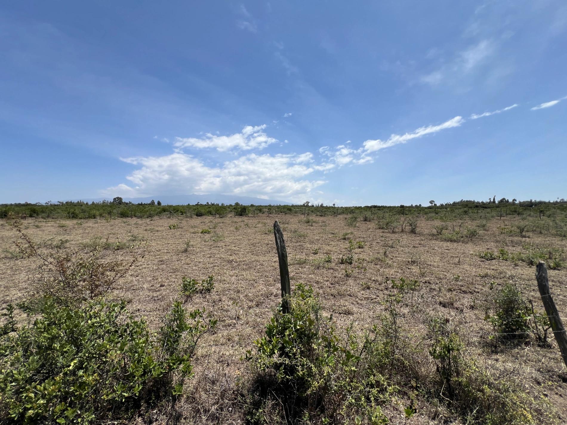 1/4 Plots for sale in Nanyuki - Image 2