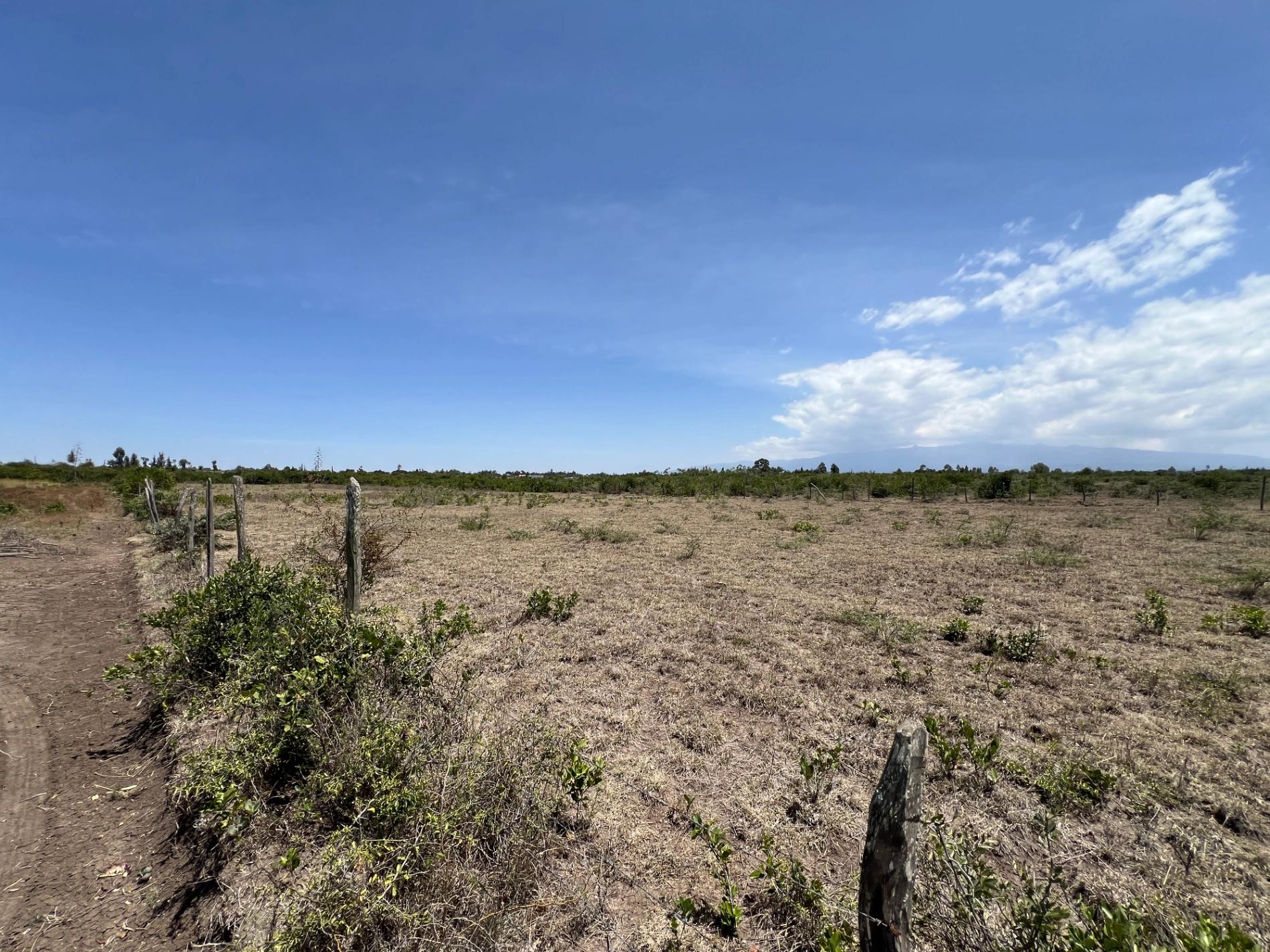1/4 Plots for sale in Nanyuki - Image 3