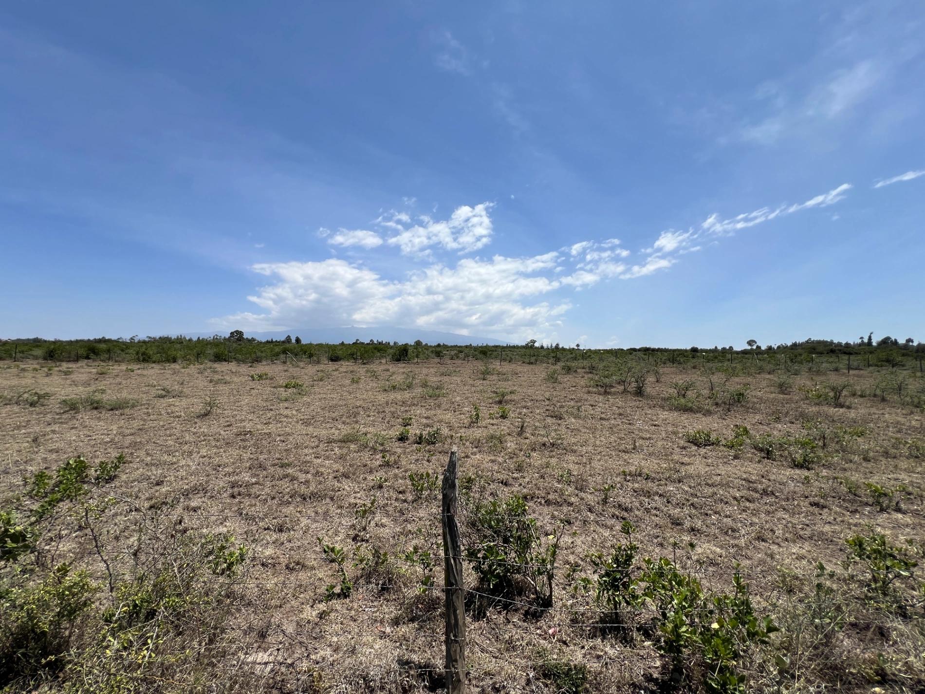 1/4 Plots for sale in Nanyuki - Image 4