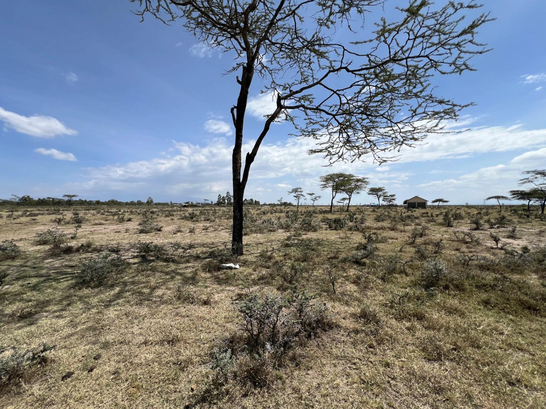 1/4 Plots for sale in Nanyuki - Image 6