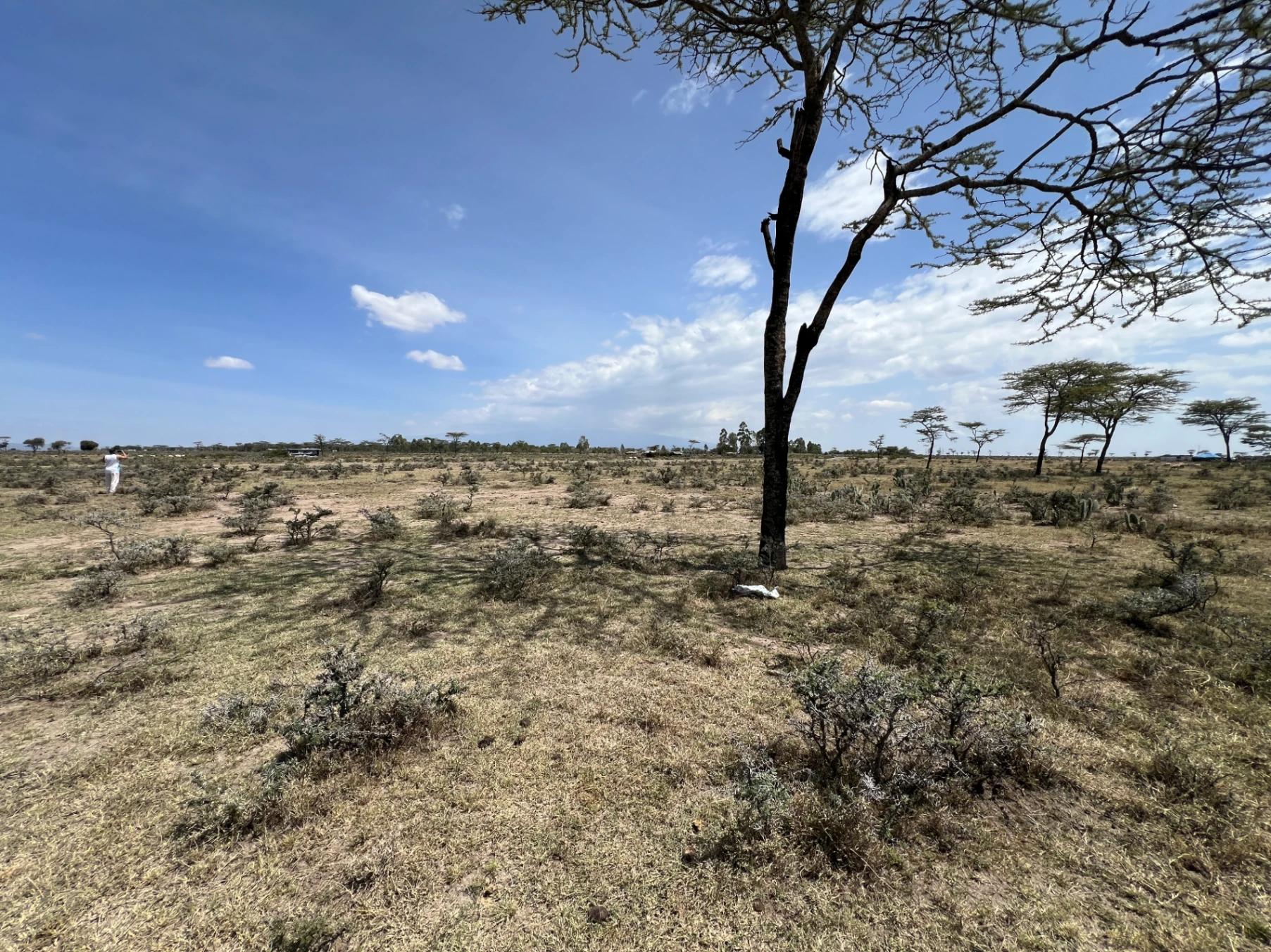 1/4 Plots for sale in Nanyuki - Image 5